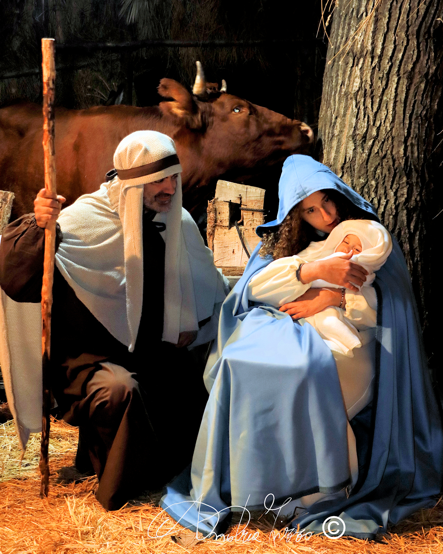 Nativity