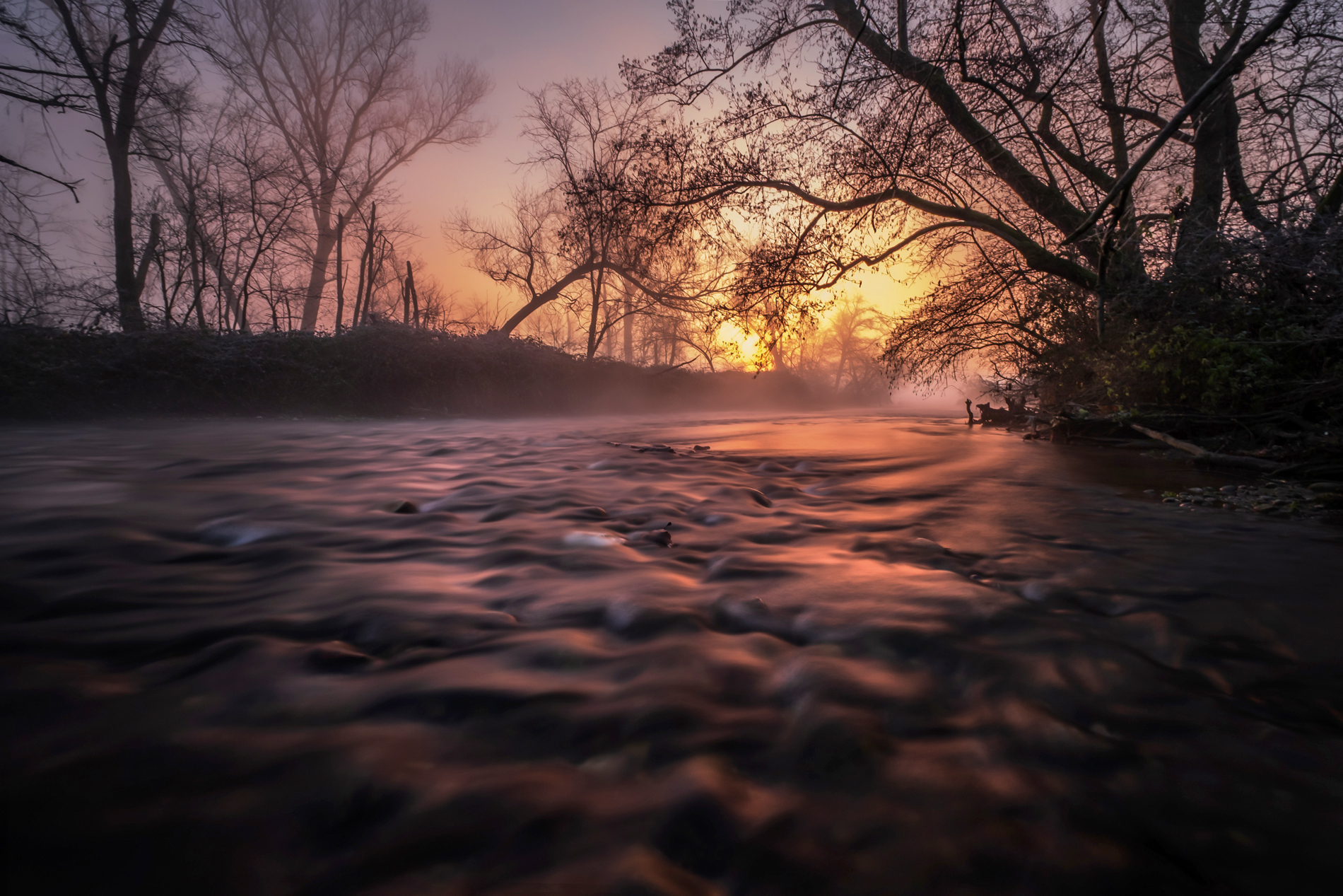 Untitled Photo