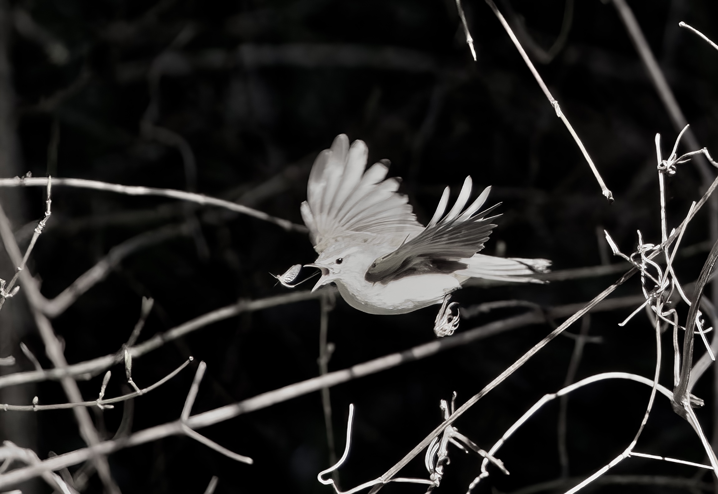Catch on the fly