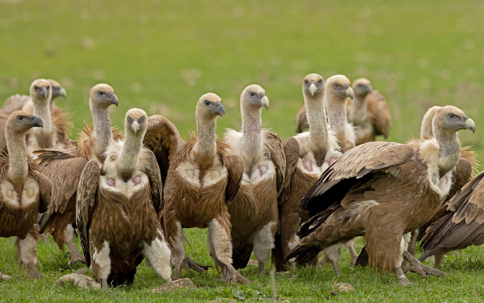 Everyone in line