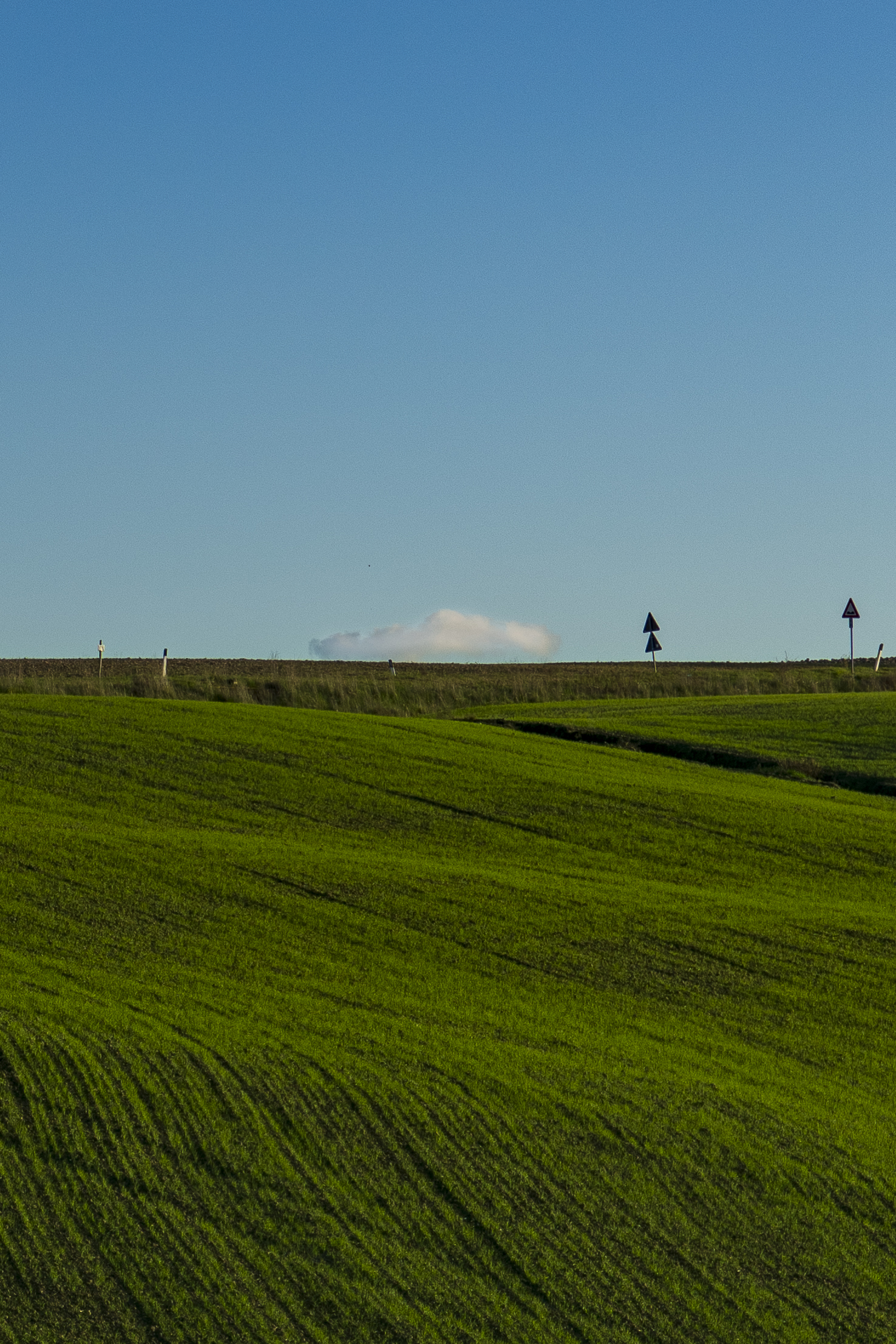 Untitled Photo
