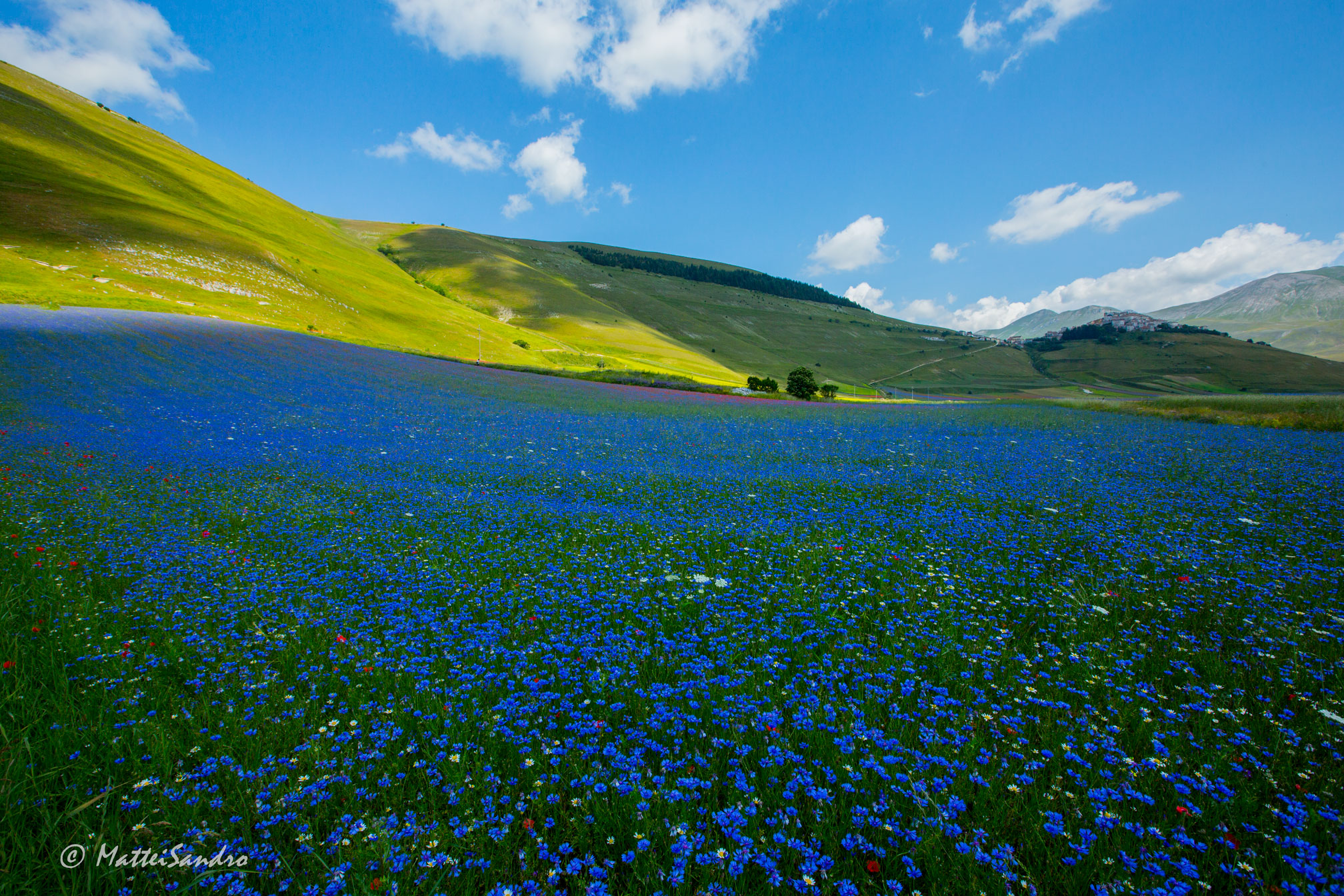 Castelluccio 2013