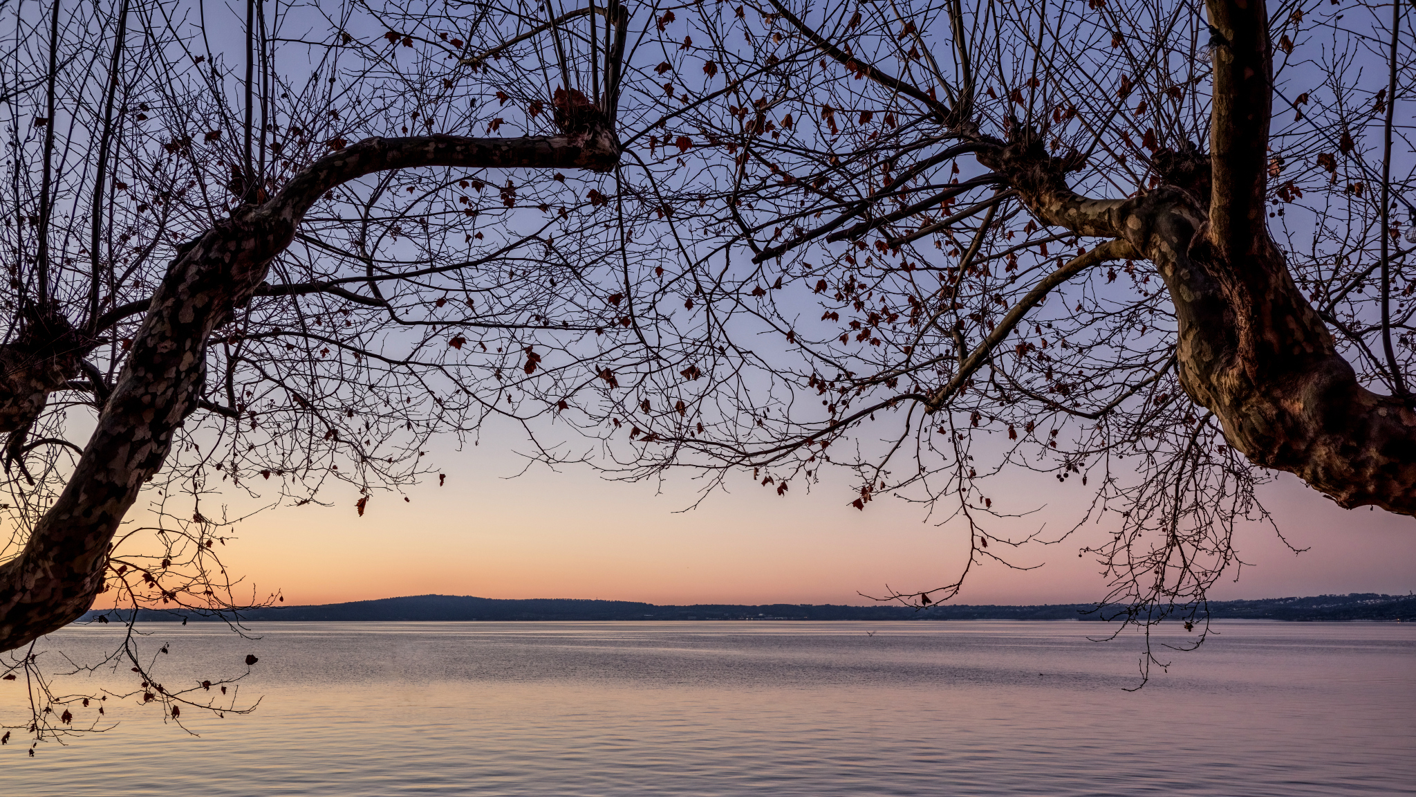 The colors of a winter morning