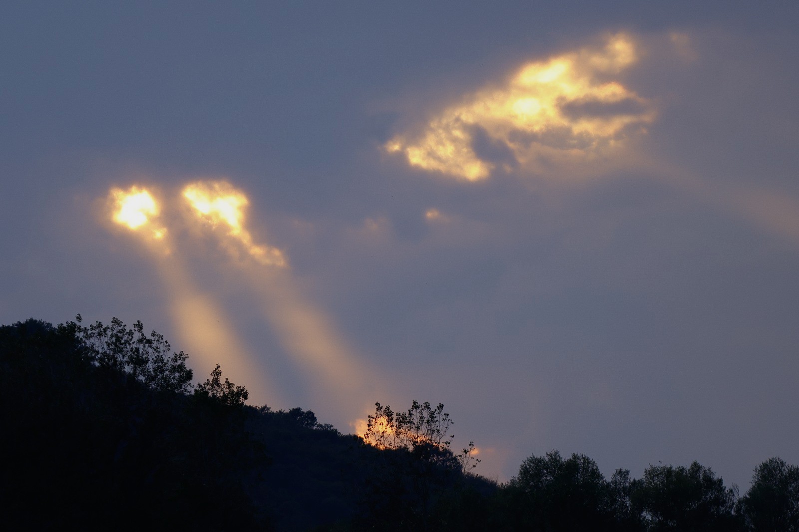 plays of light
