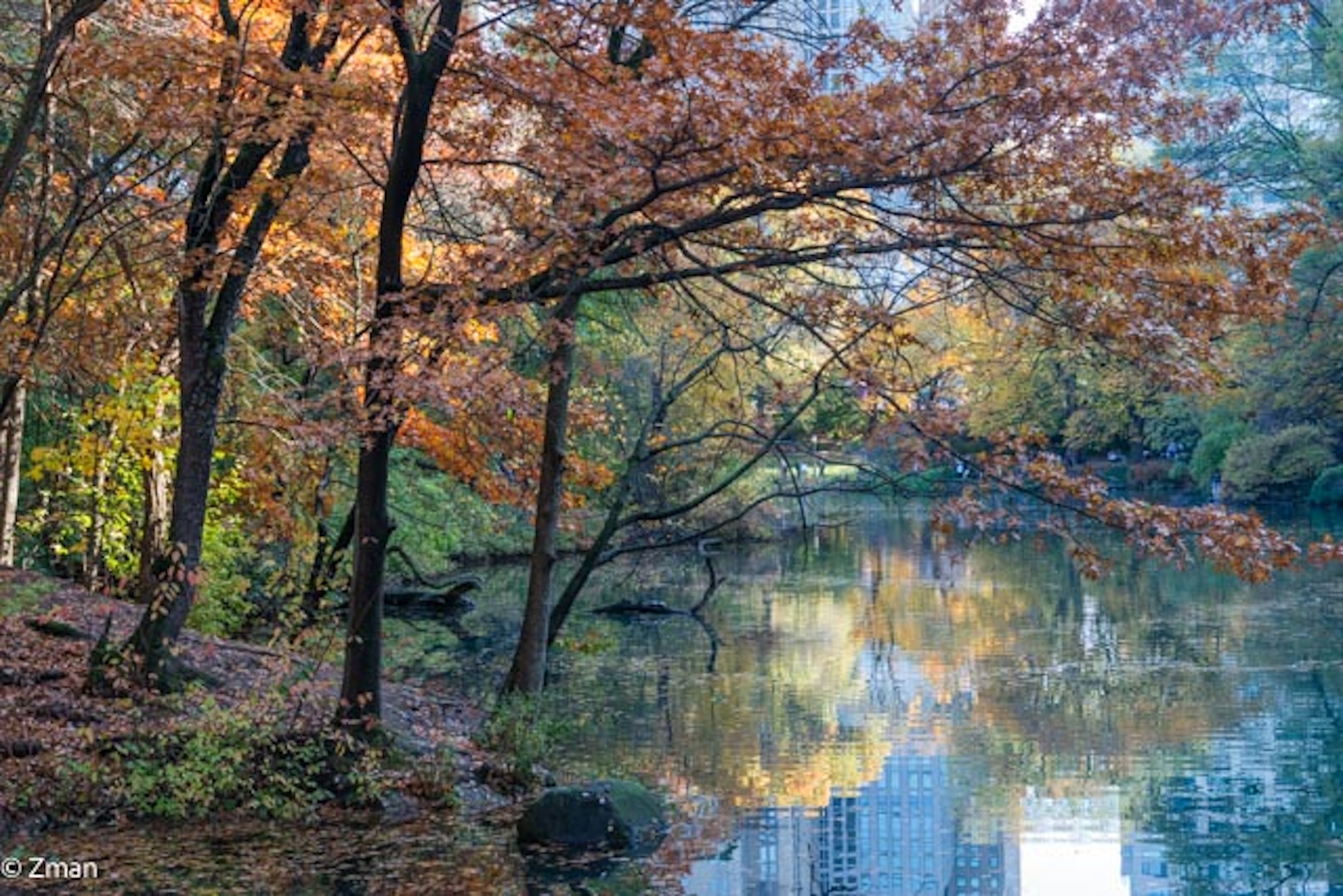 Caleidoscopio dei colori autunnali a Central Park, NY