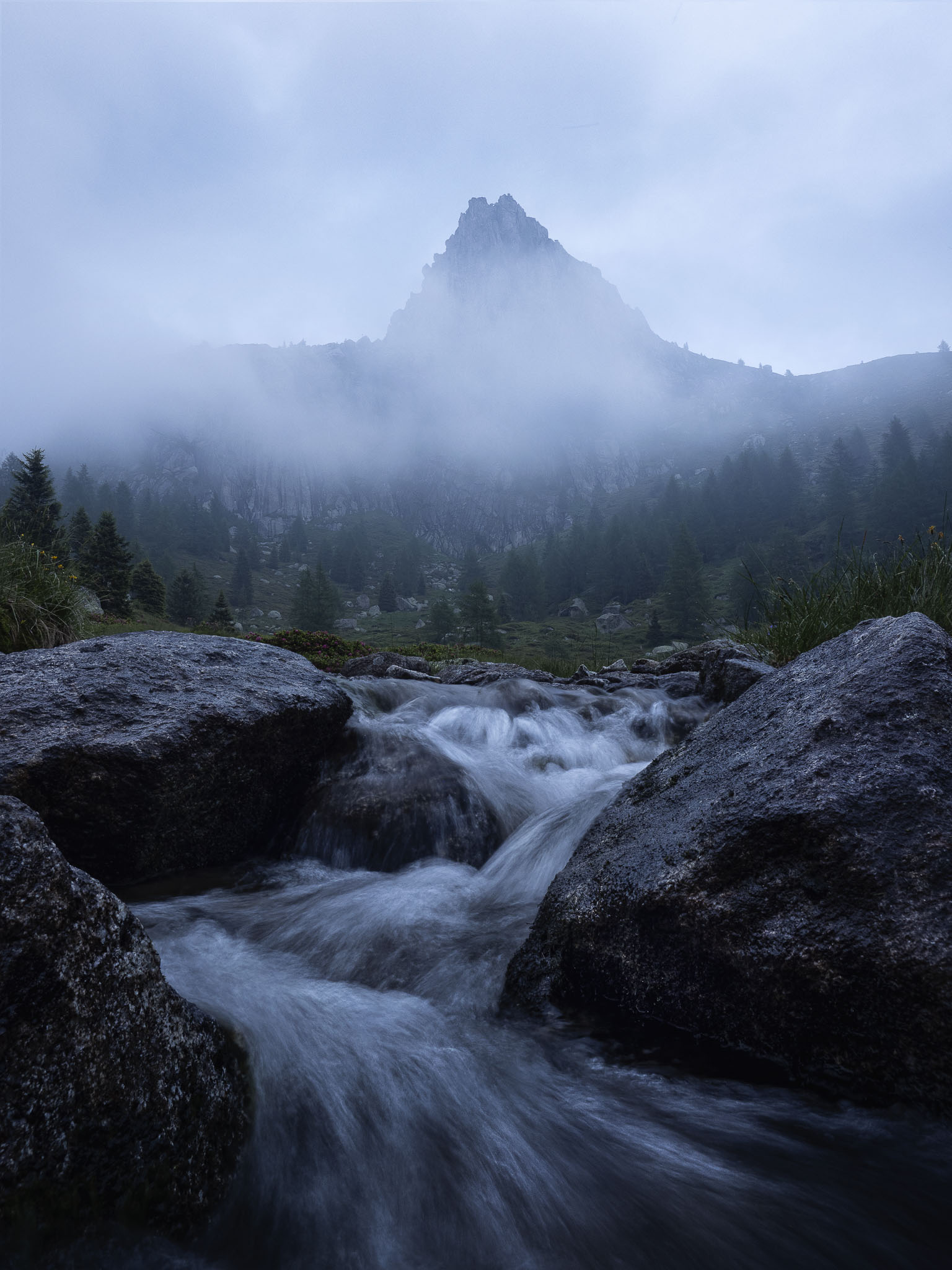 Stream and fog