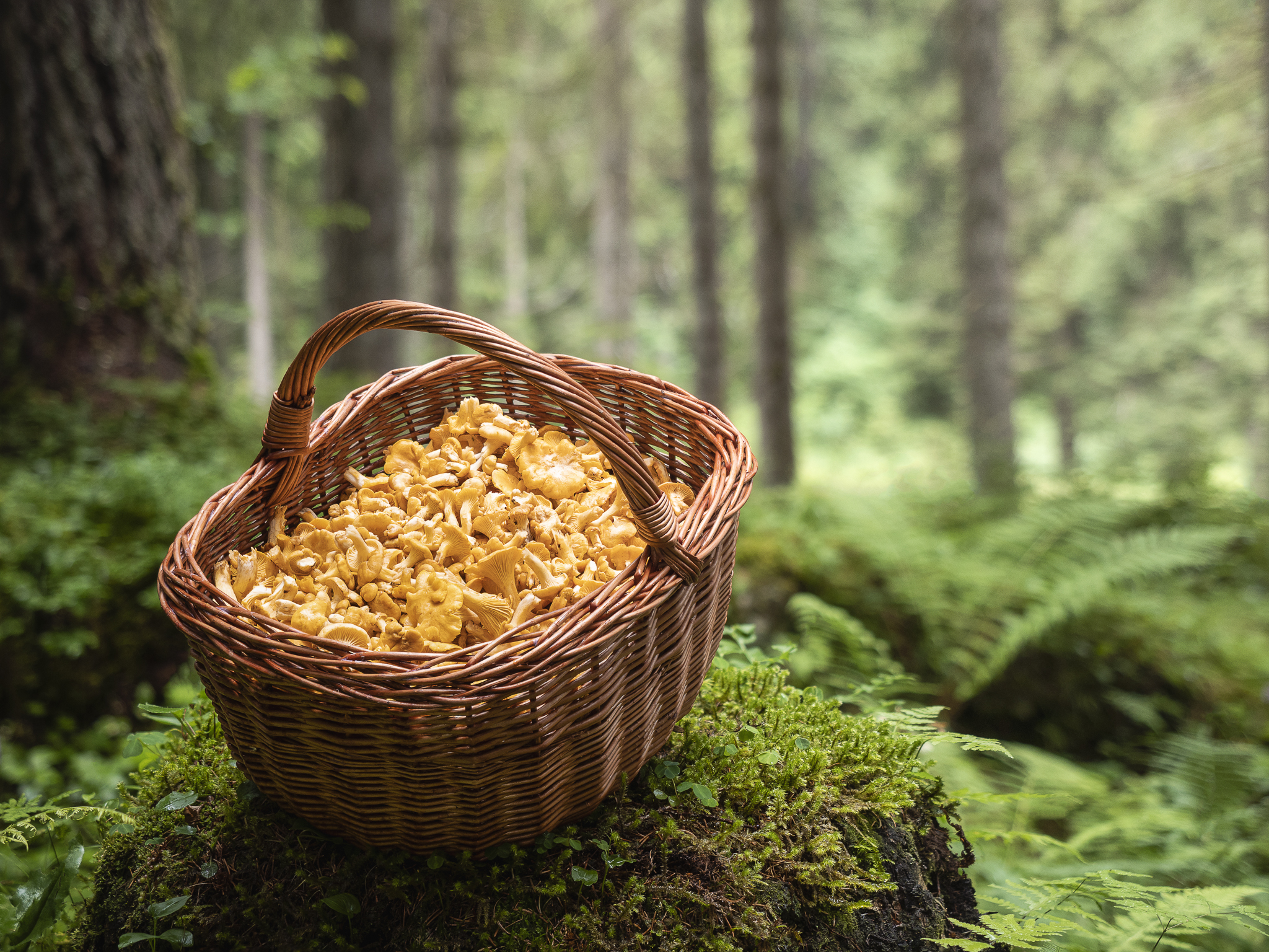 Yellow Loot