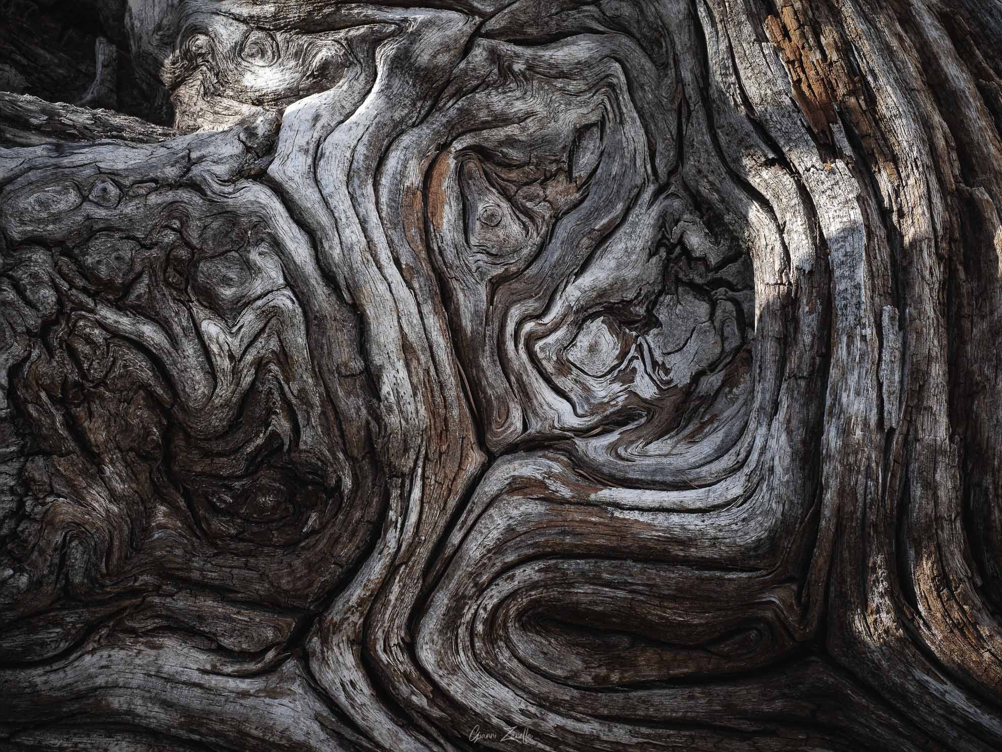 Wood
