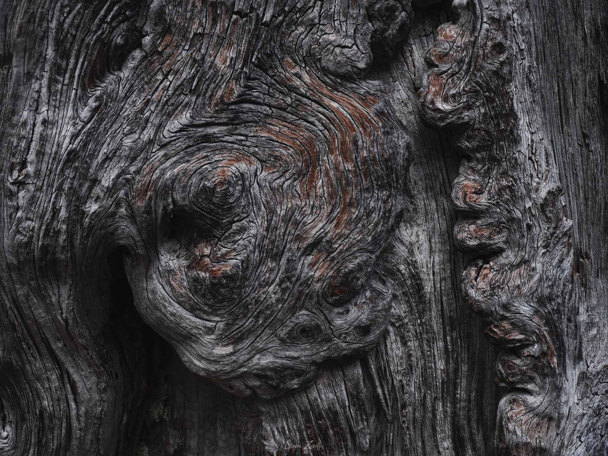 Wood2