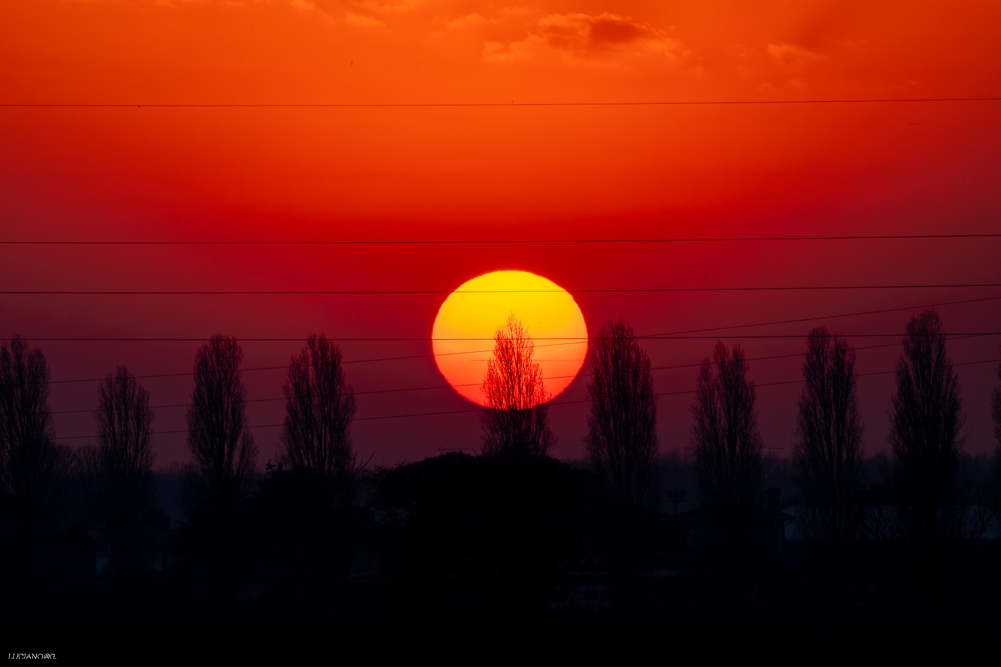 Untitled Photo