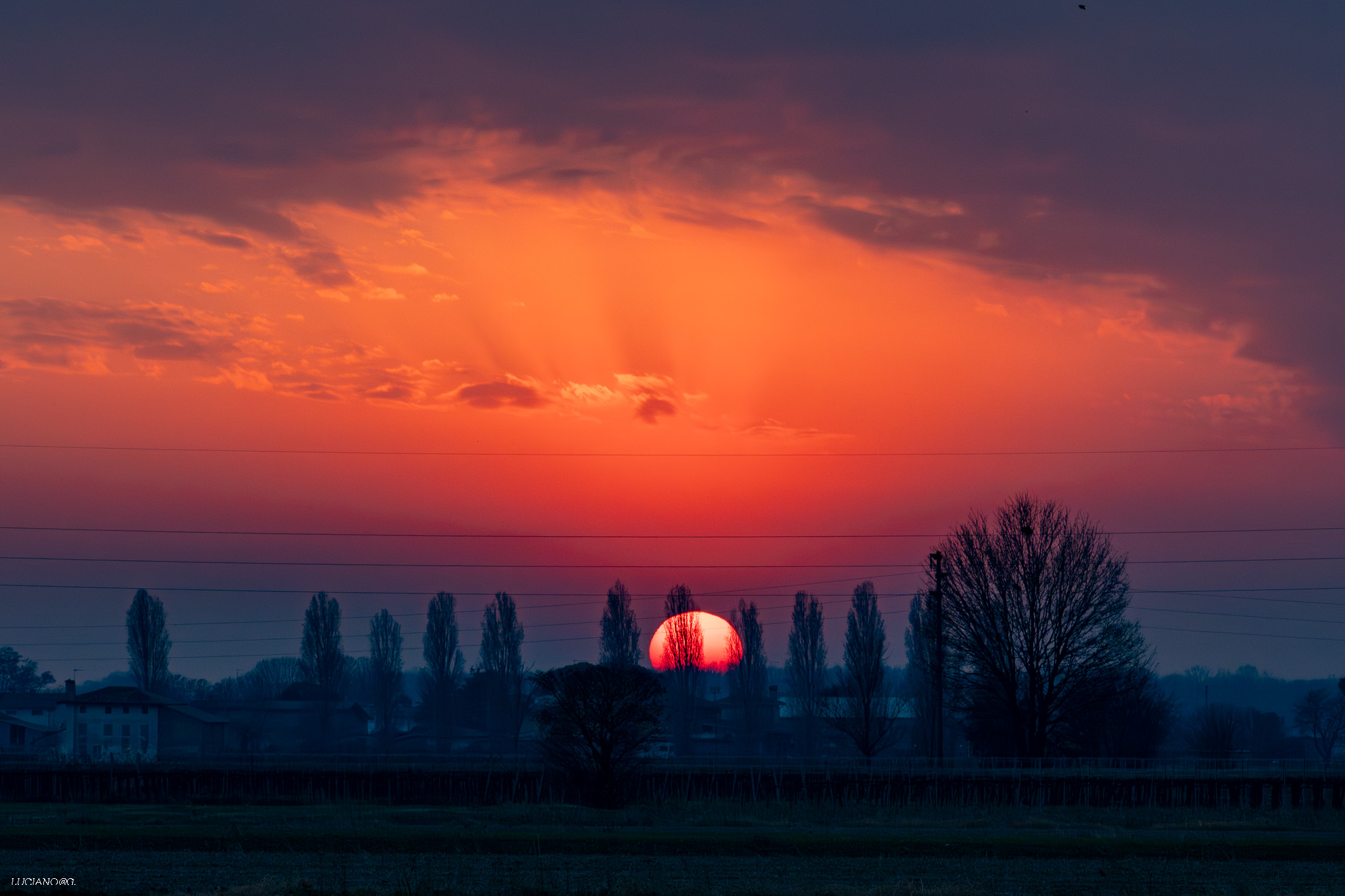 Untitled Photo