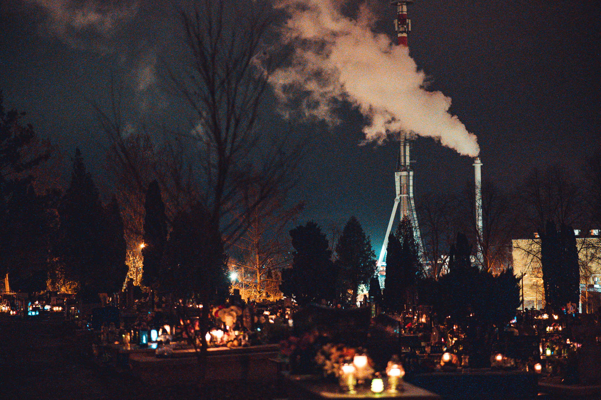 Untitled Photo