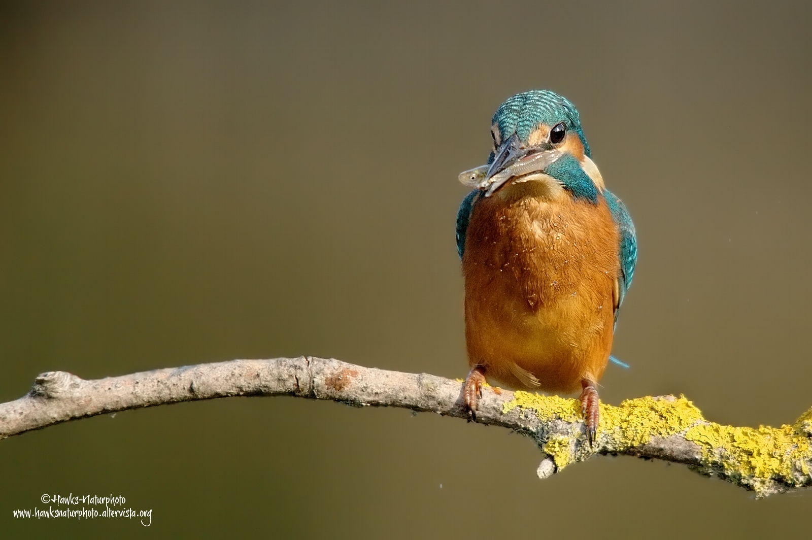 Martino with the catch