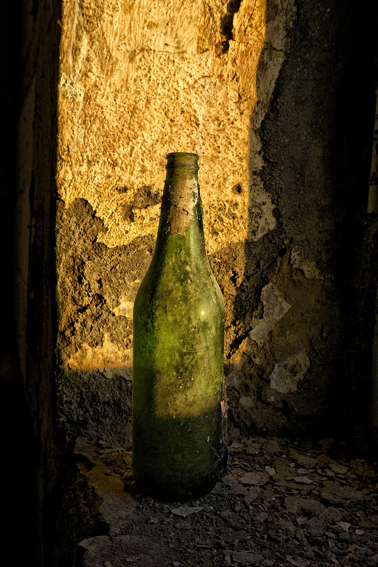 Untitled Photo