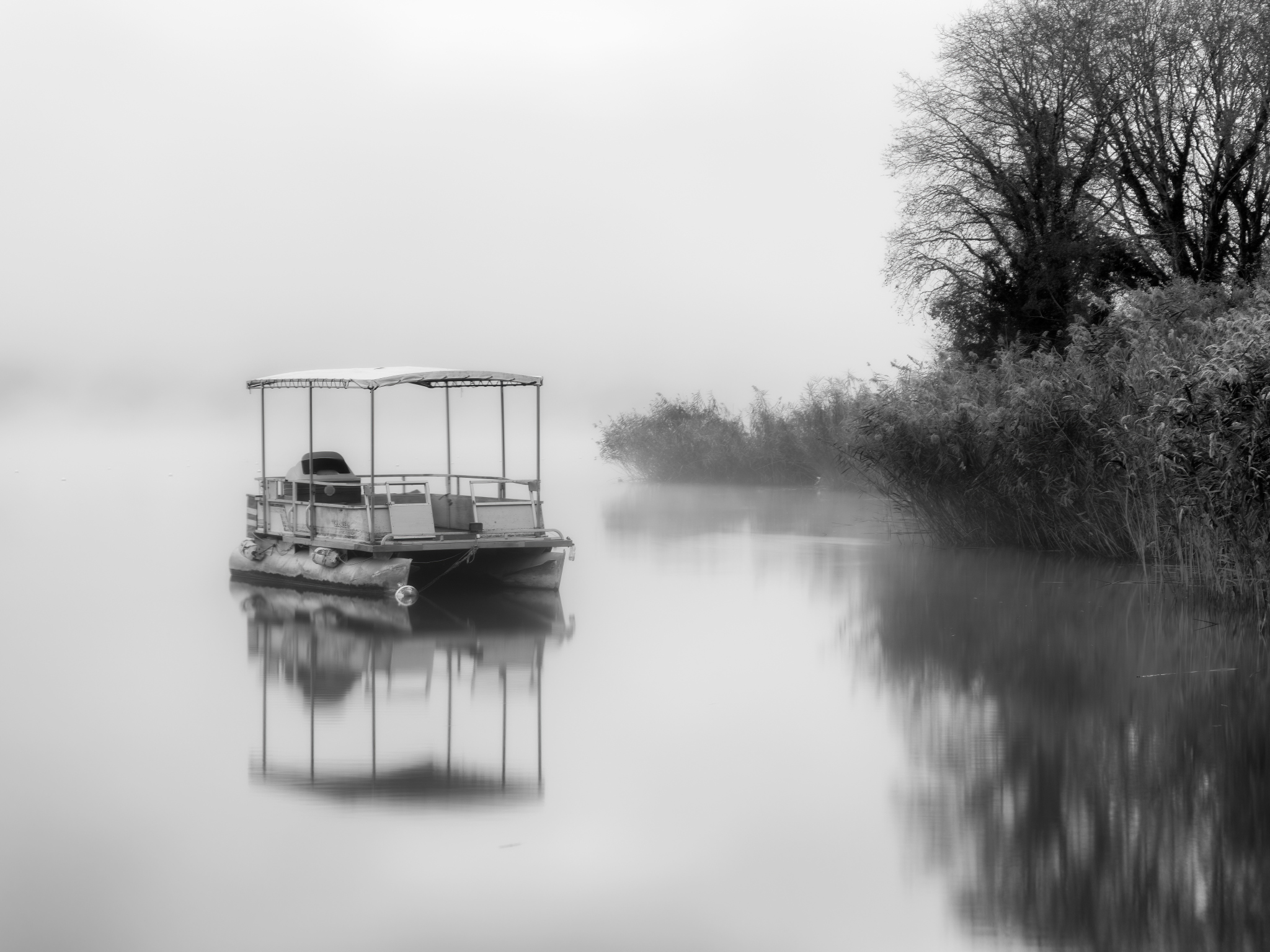 Freshwater stillness