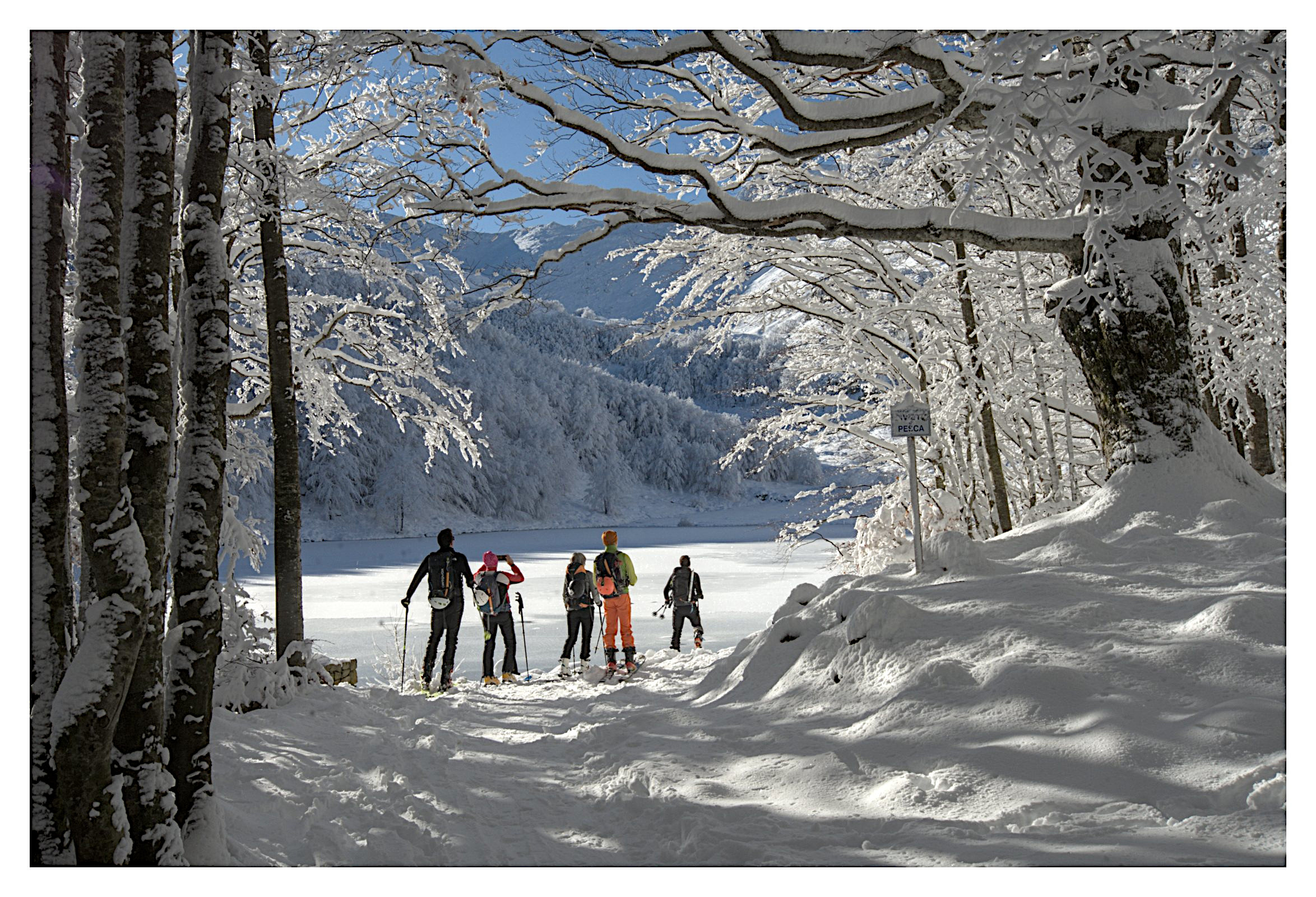 Al limitar del bosco