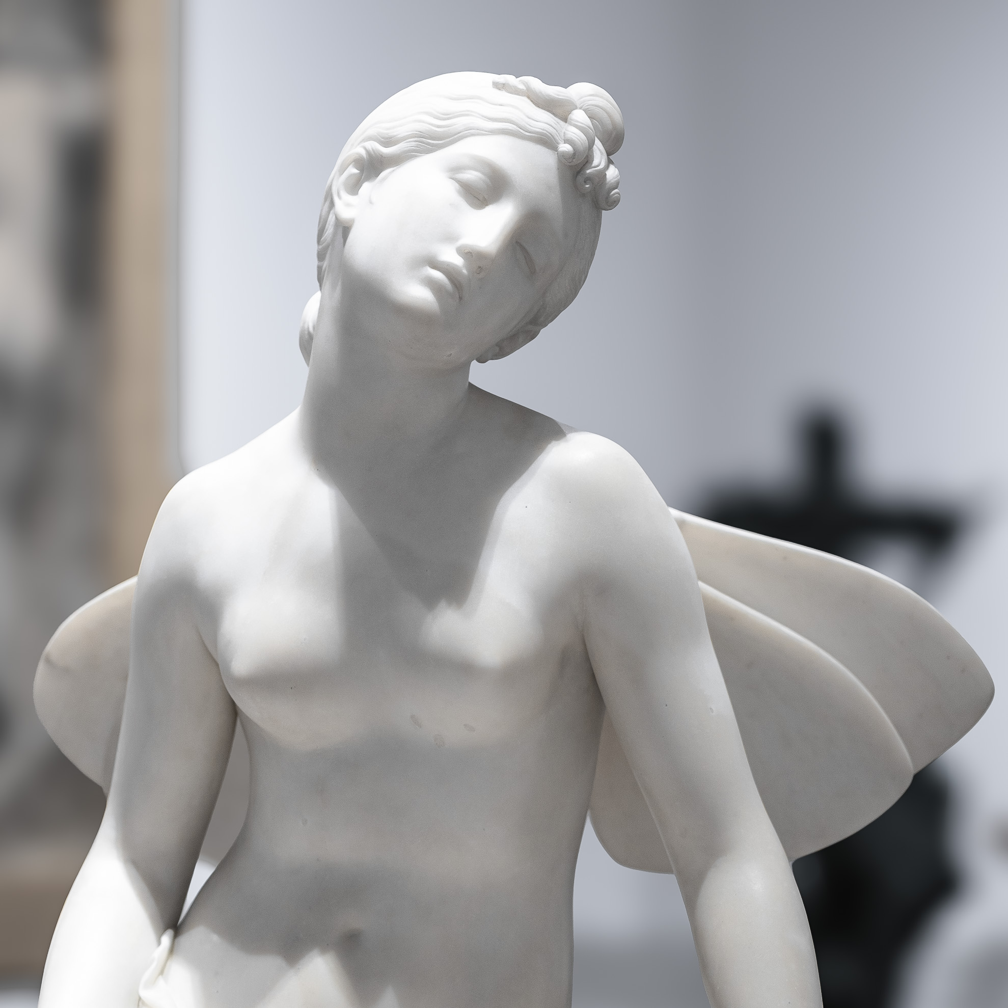 Ammazza che affilatura... c'ho 'n torci collo...