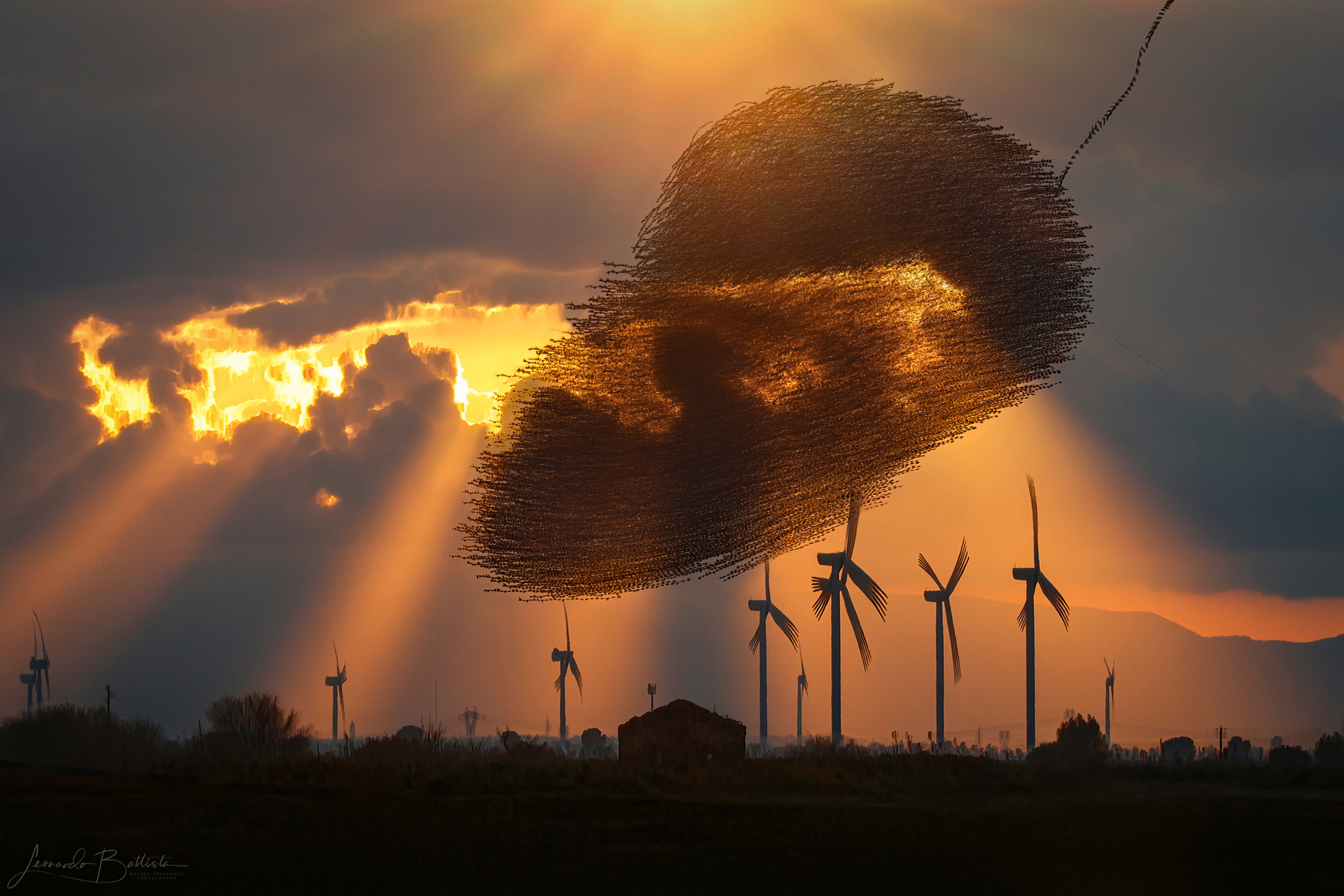 Le forme dell'aria part.II