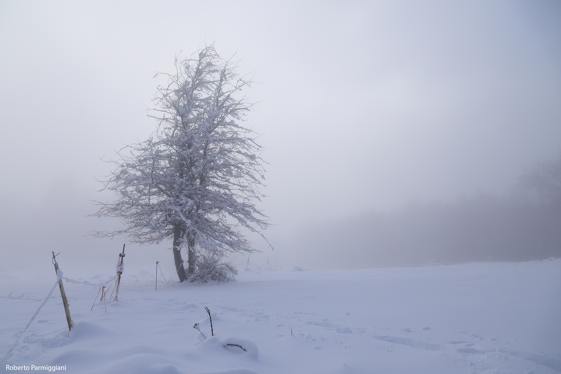Silenzio bianco