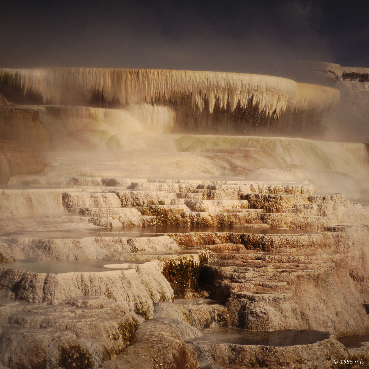 Mammoth Hot Springs