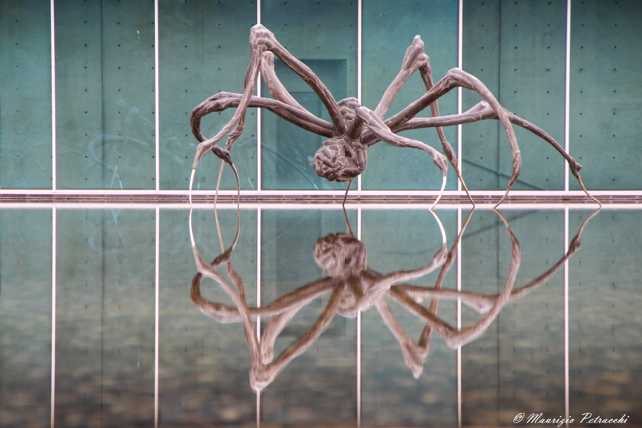 Scultura di Gigante cocente Spider di Louise Bourgeois