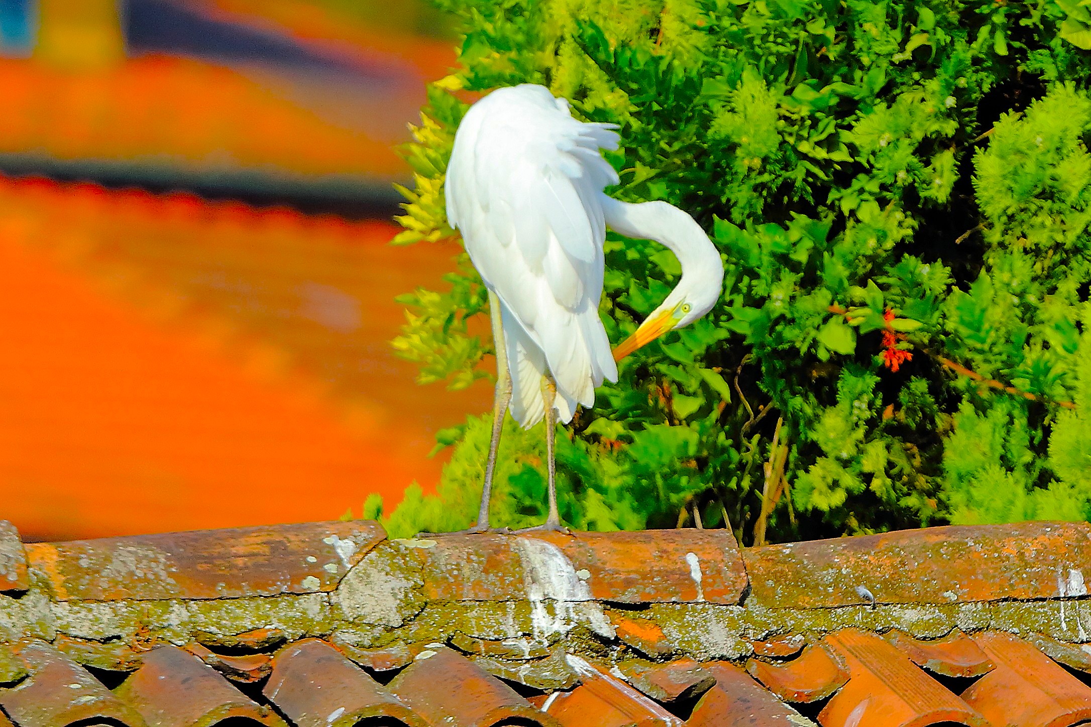 ABM 13 agosto 2025 - 0081