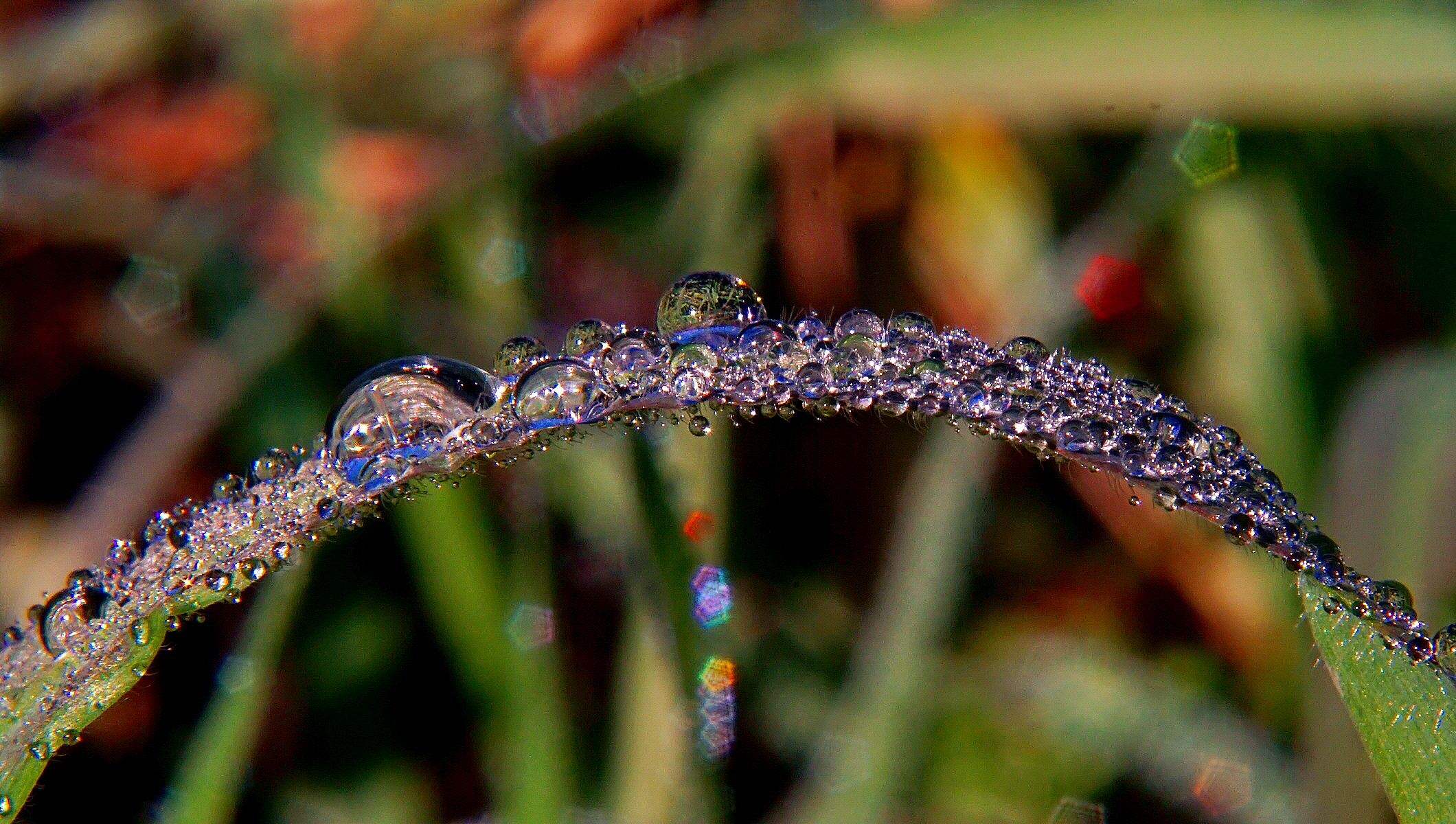 Tutti i colori dell'arcobaleno!