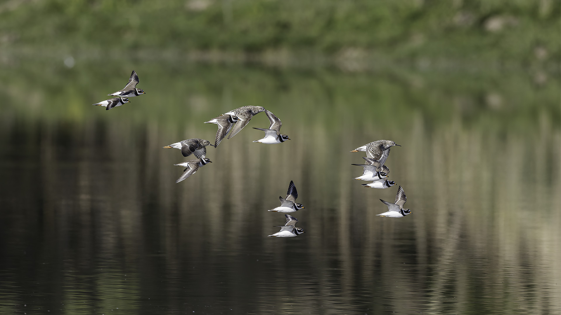 Flight of couriers and fighters