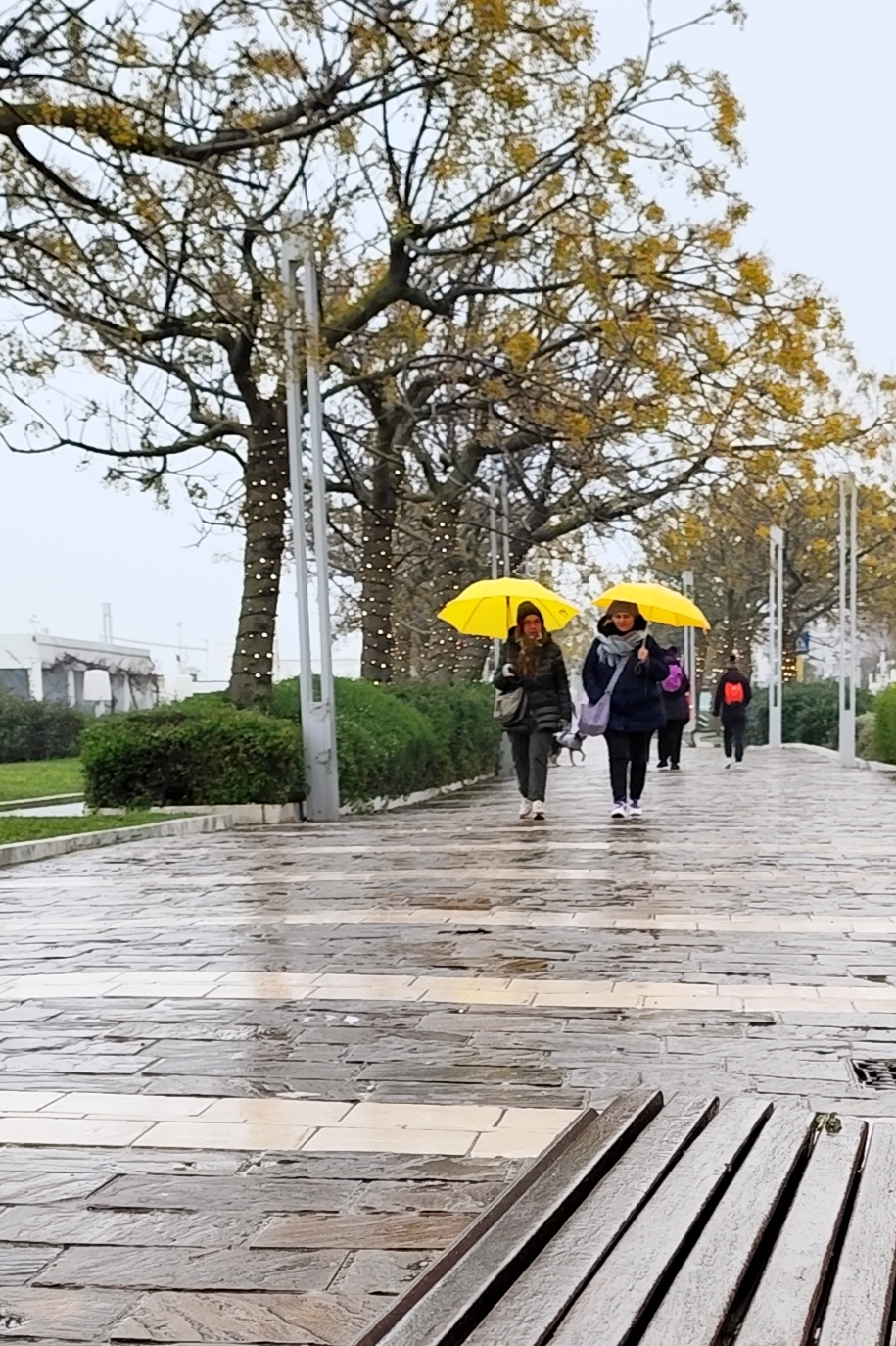 Riccione in winter 1