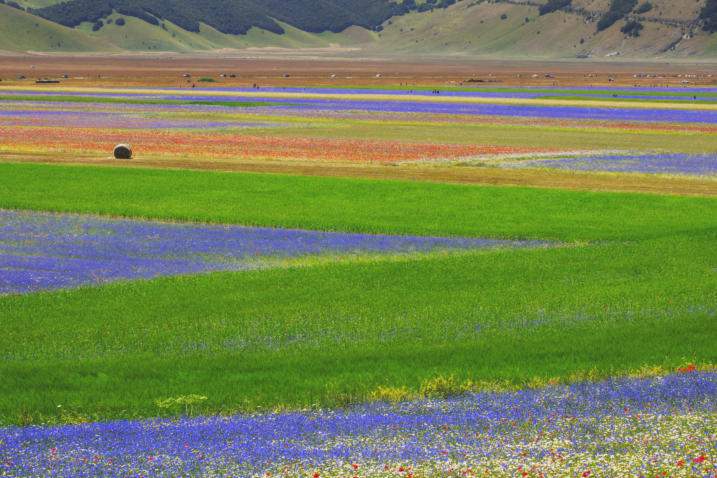 Casteluccio