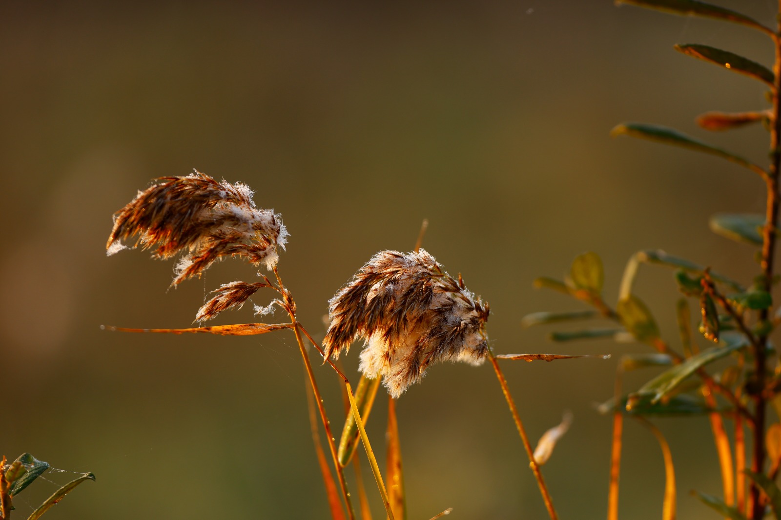Untitled Photo