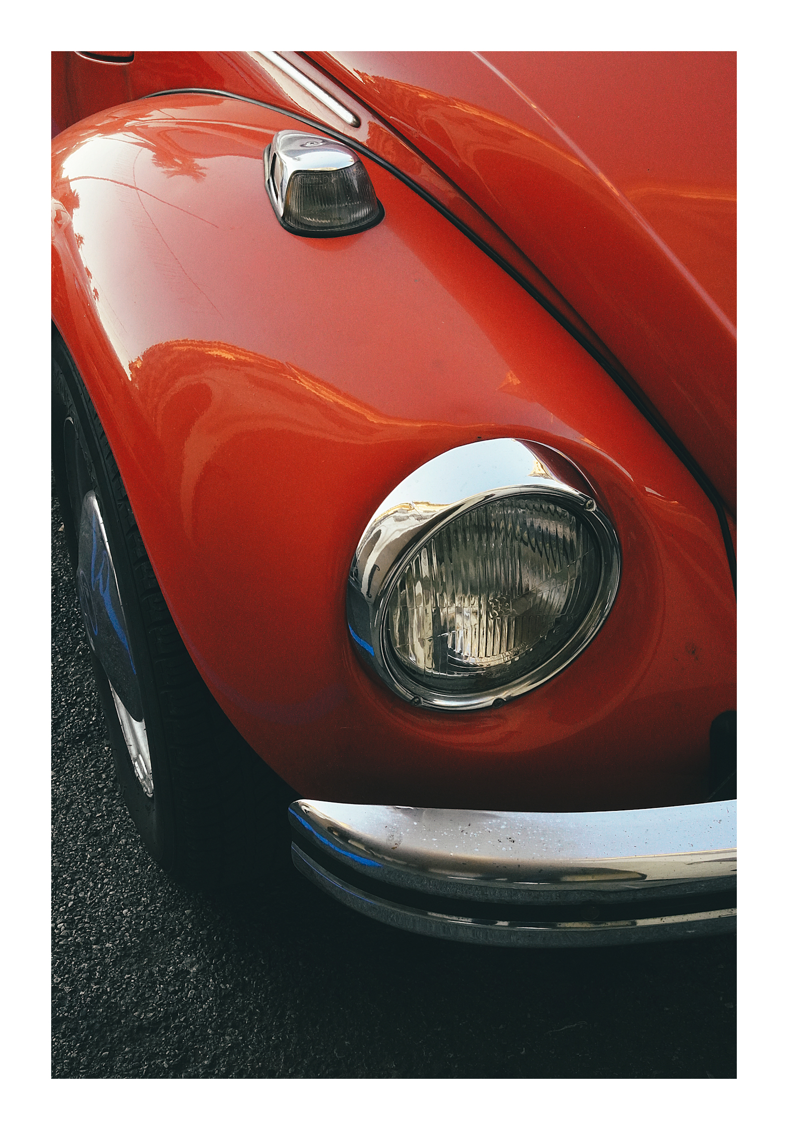 Beetle