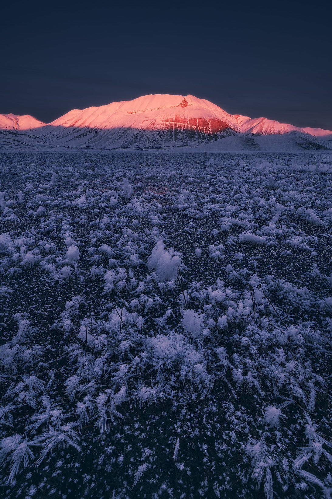 Nel regno di ghiaccio di Frozen