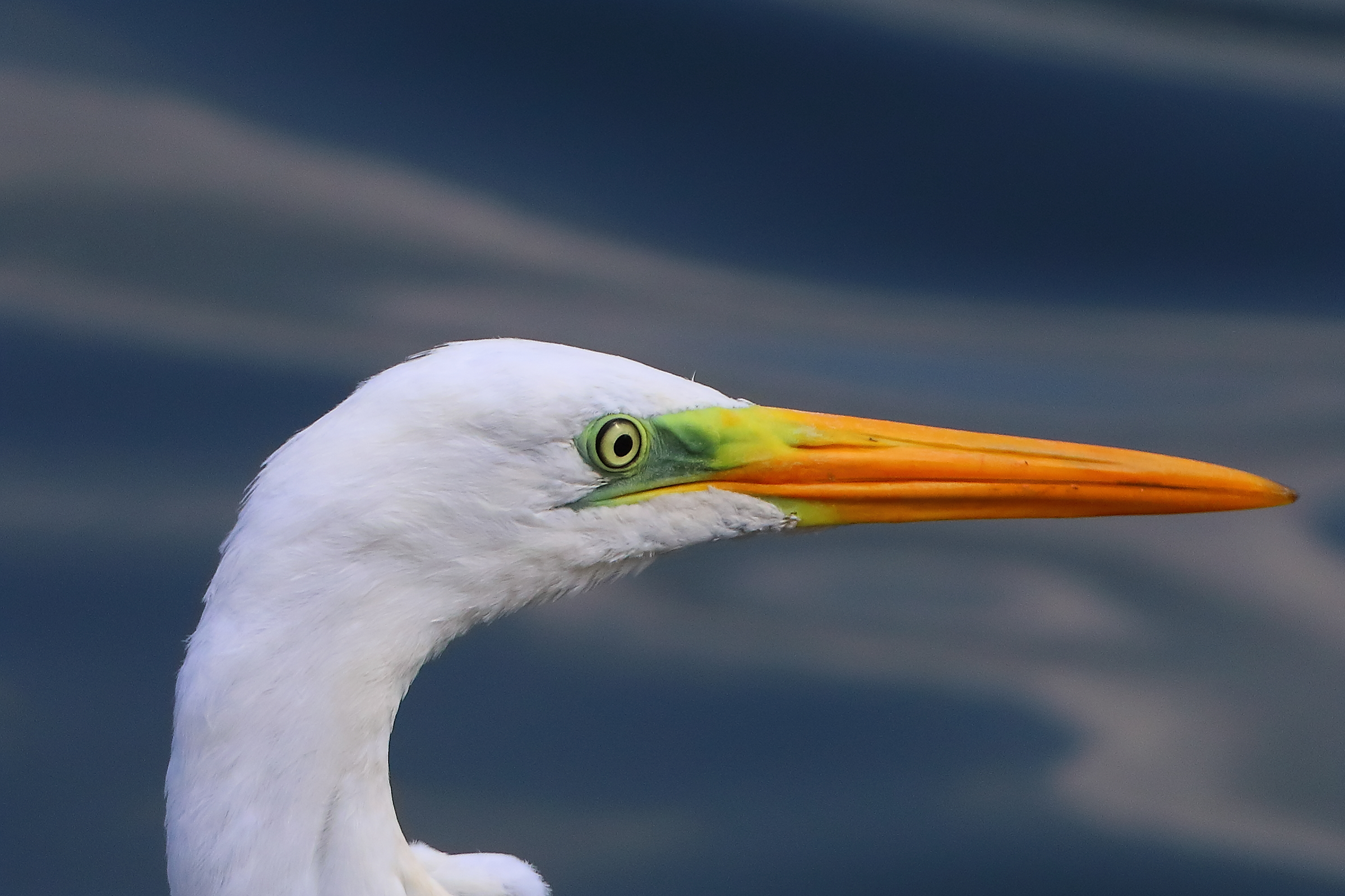 ABM agosto 2025 - 0141