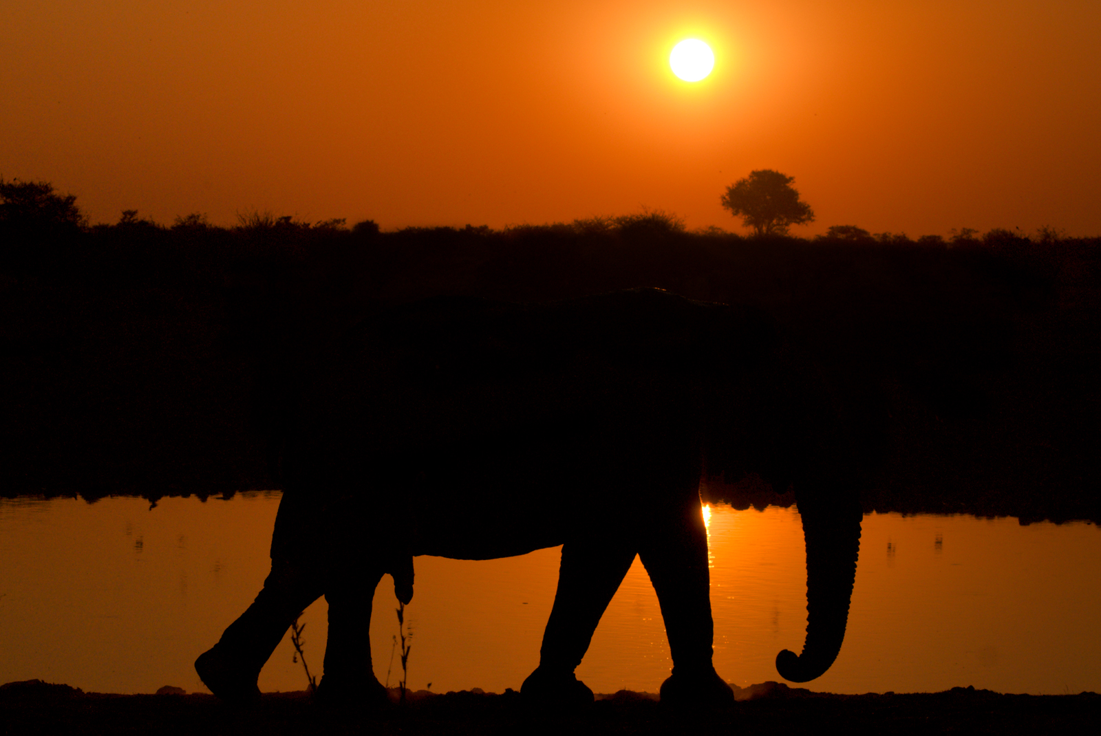 sunset elephantine