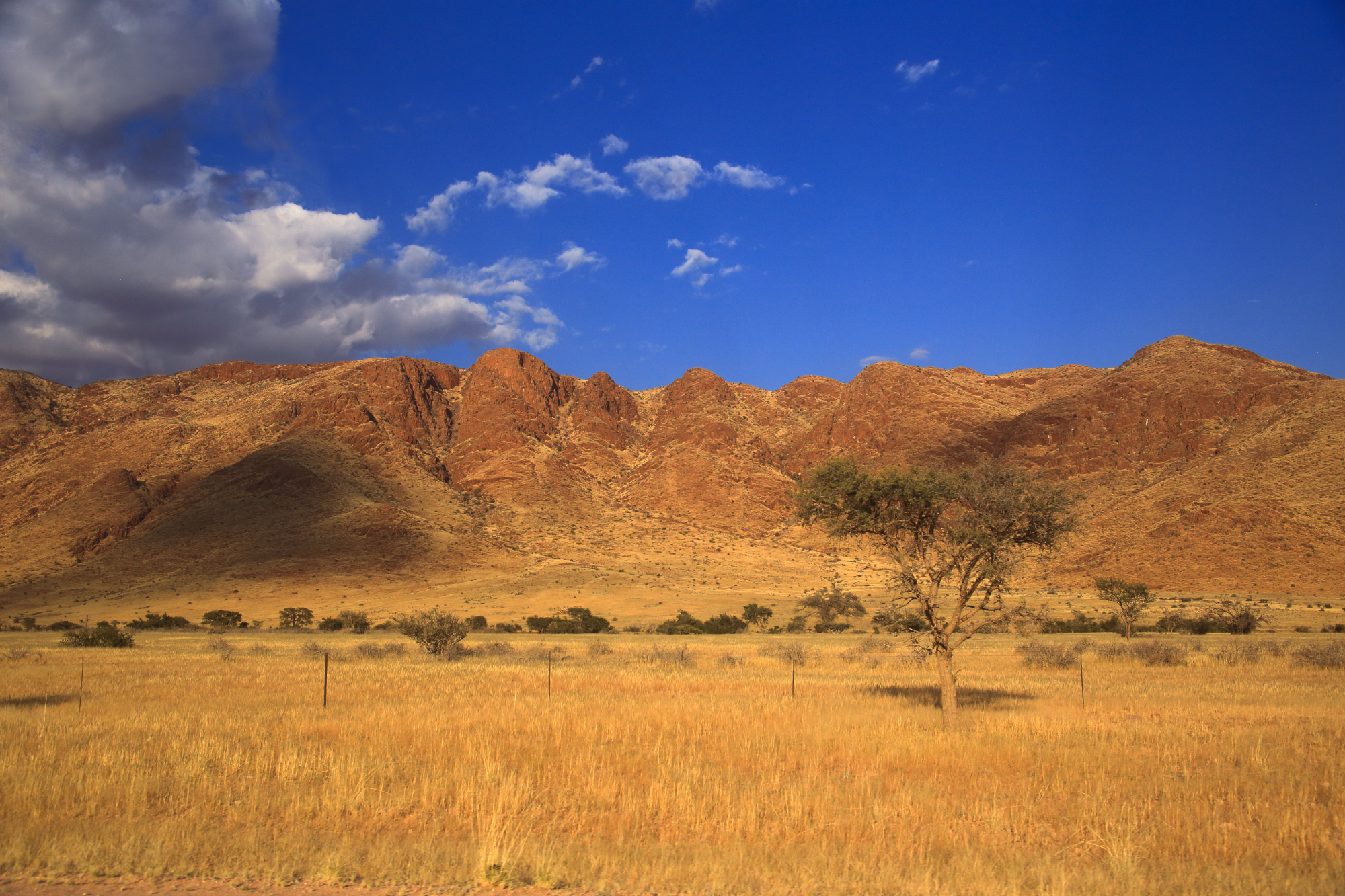 Deserto del Kalahari