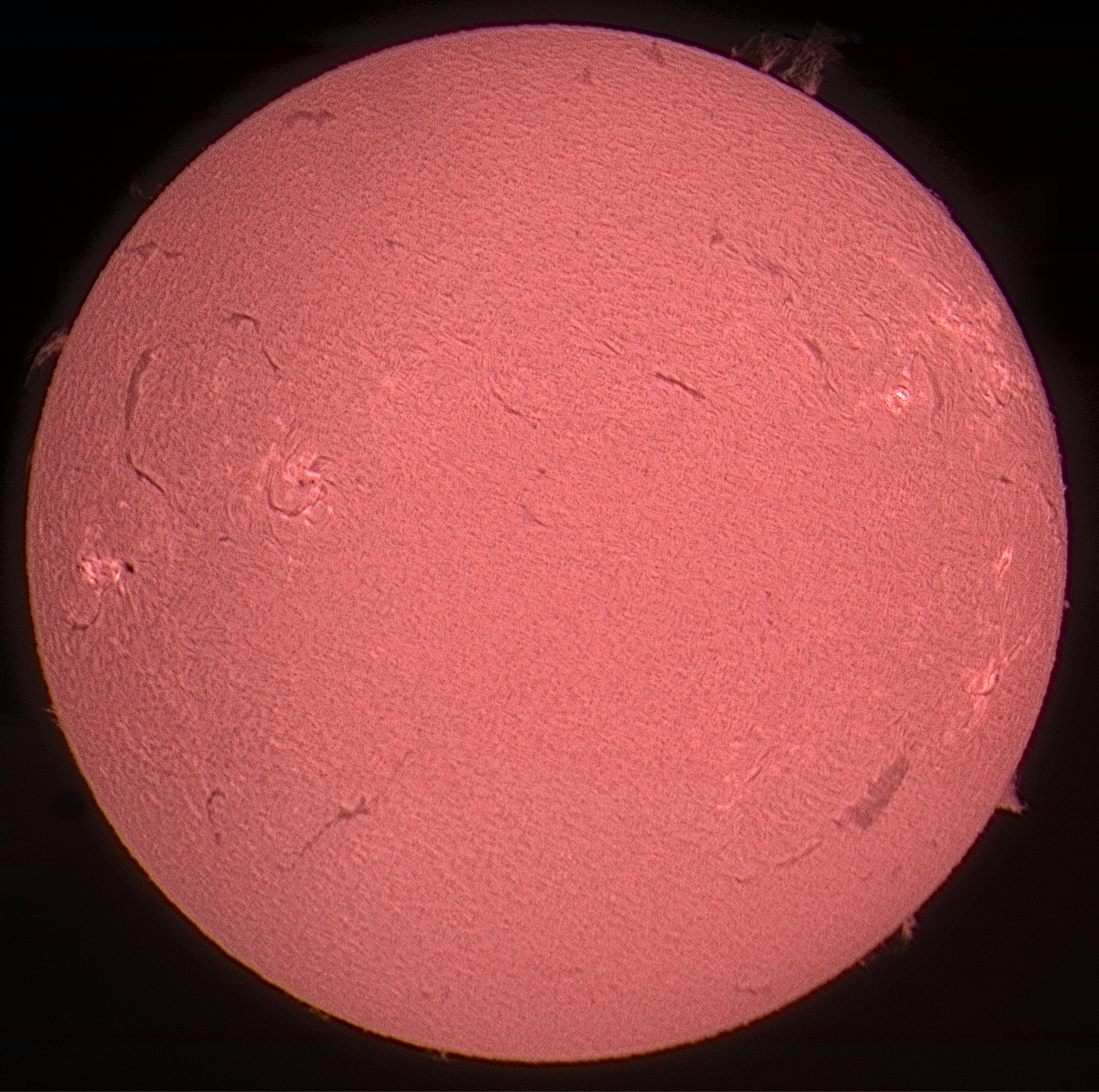 sun in hydrogen line Halfa