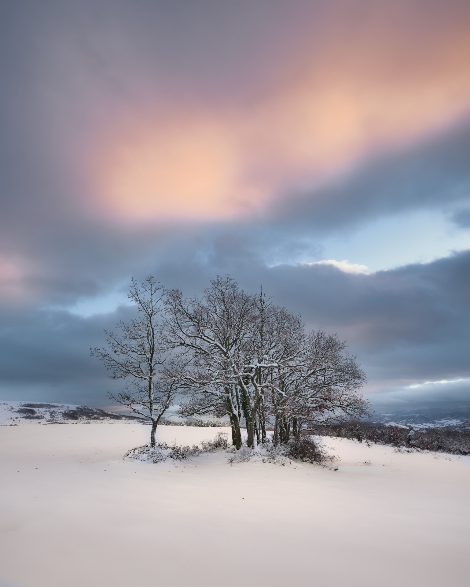 Piani di Crispiero - Castelraimondo (MC)
