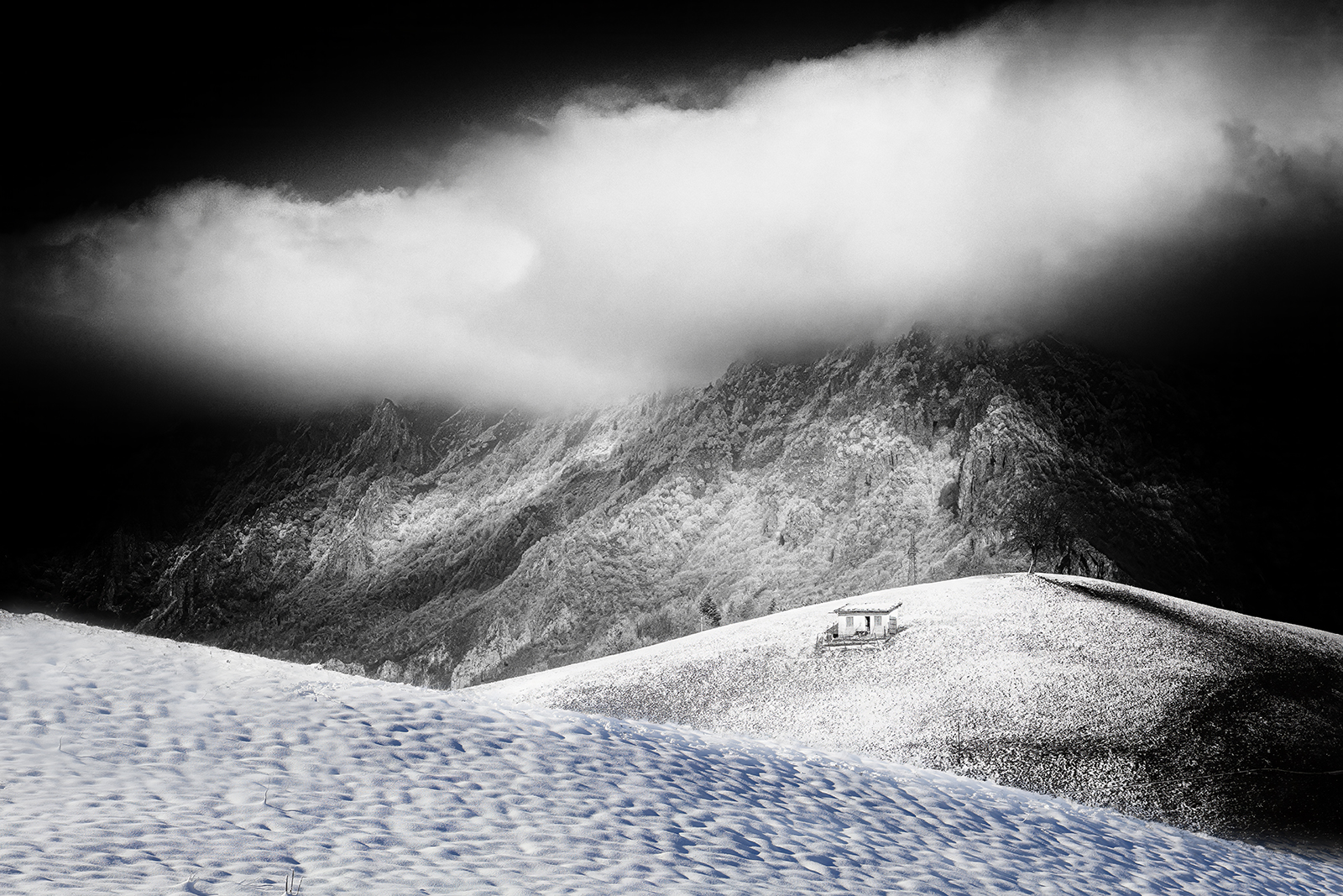 Whether it's fog or snow, whether you want it or not...