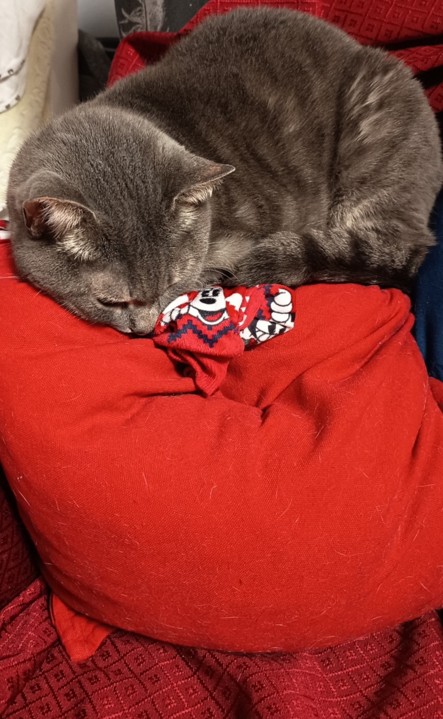 Finito il Natale ma il cuscino non lo mollo...