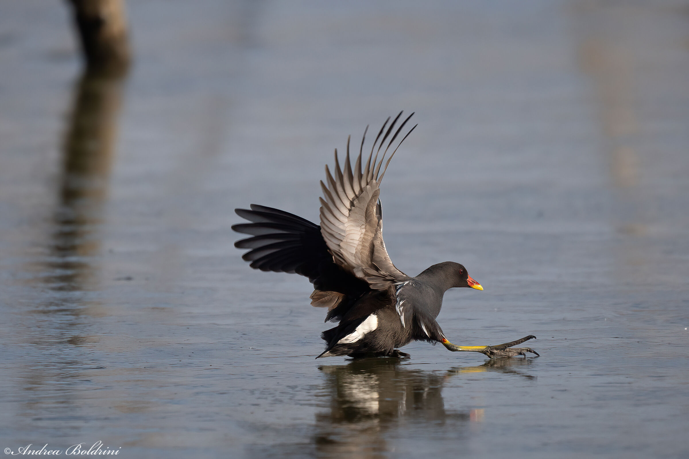 Difficile equilibrio