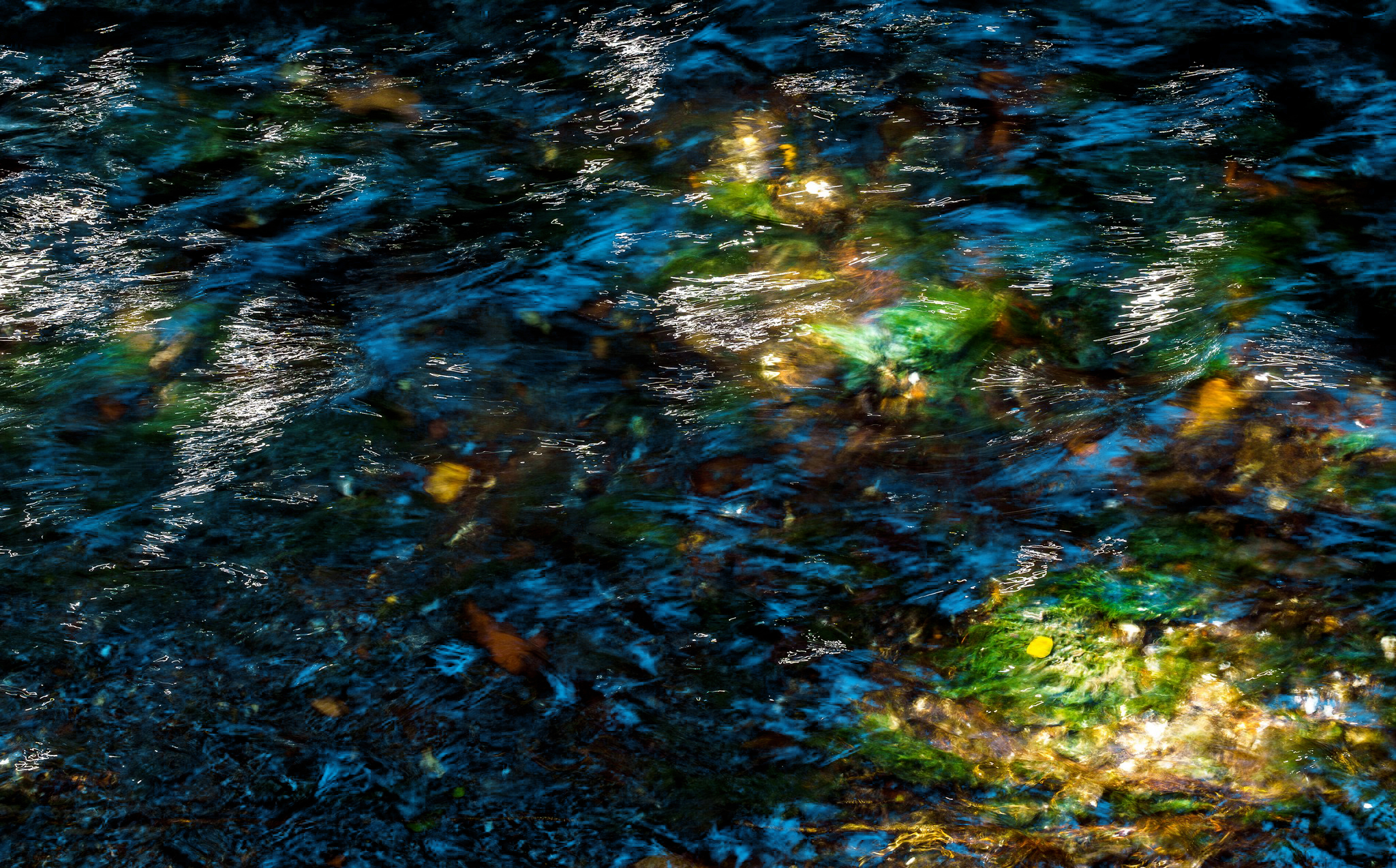 I segreti del fiume Amenano