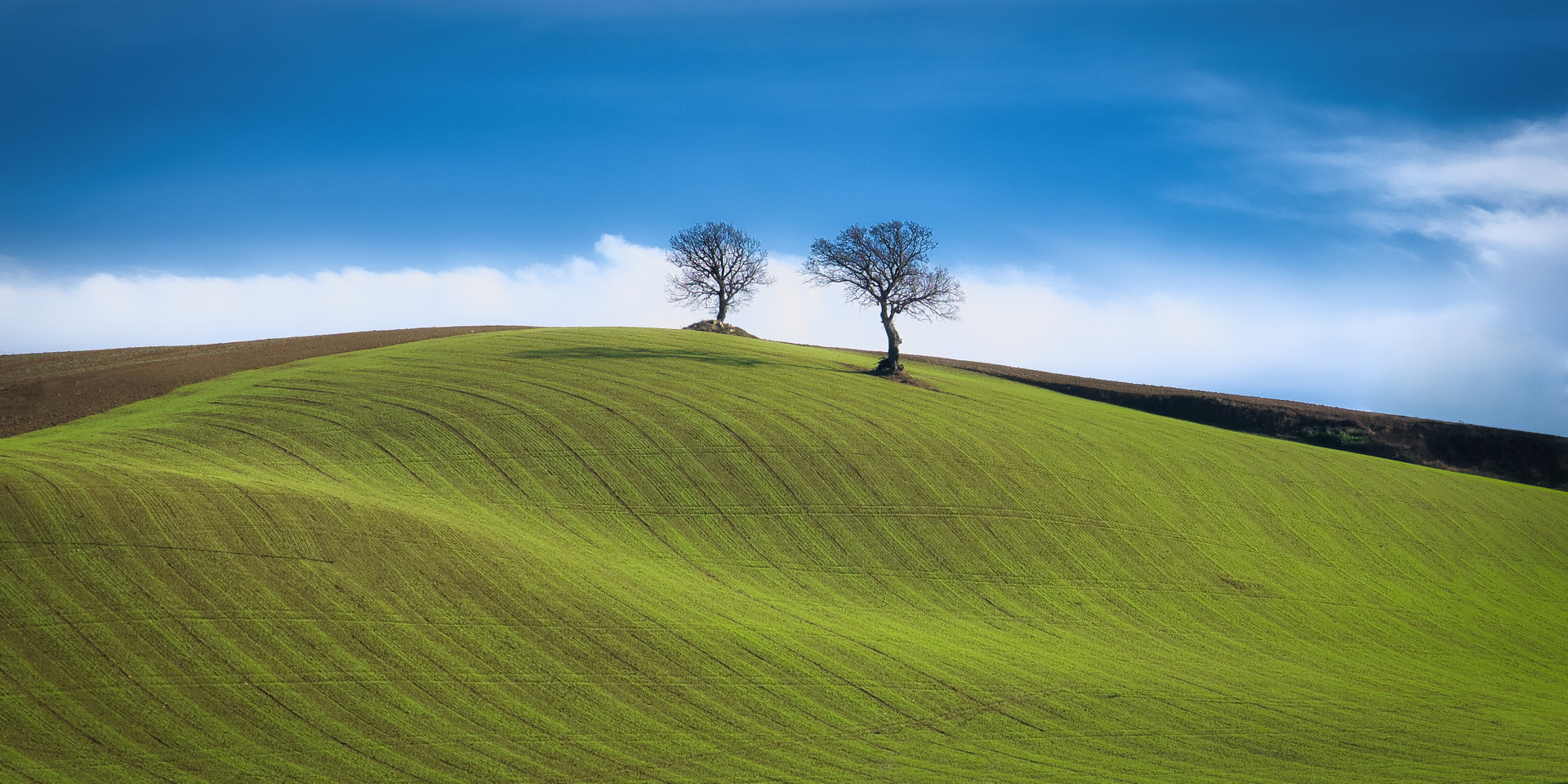 Campagna di San Severino Marche (MC)