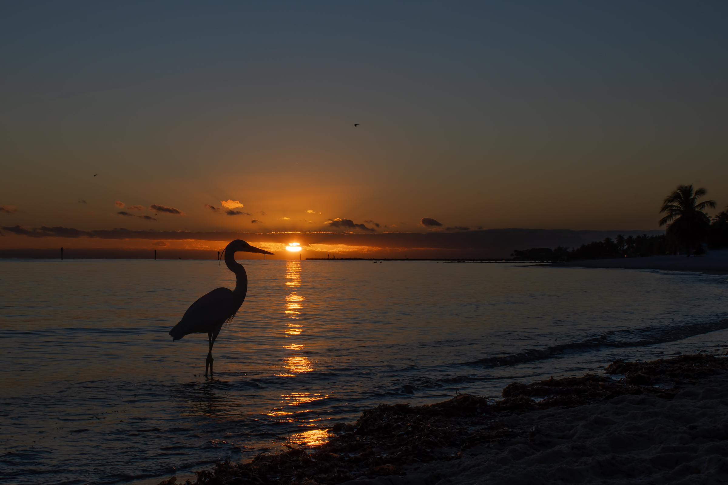 tramonto a Key West