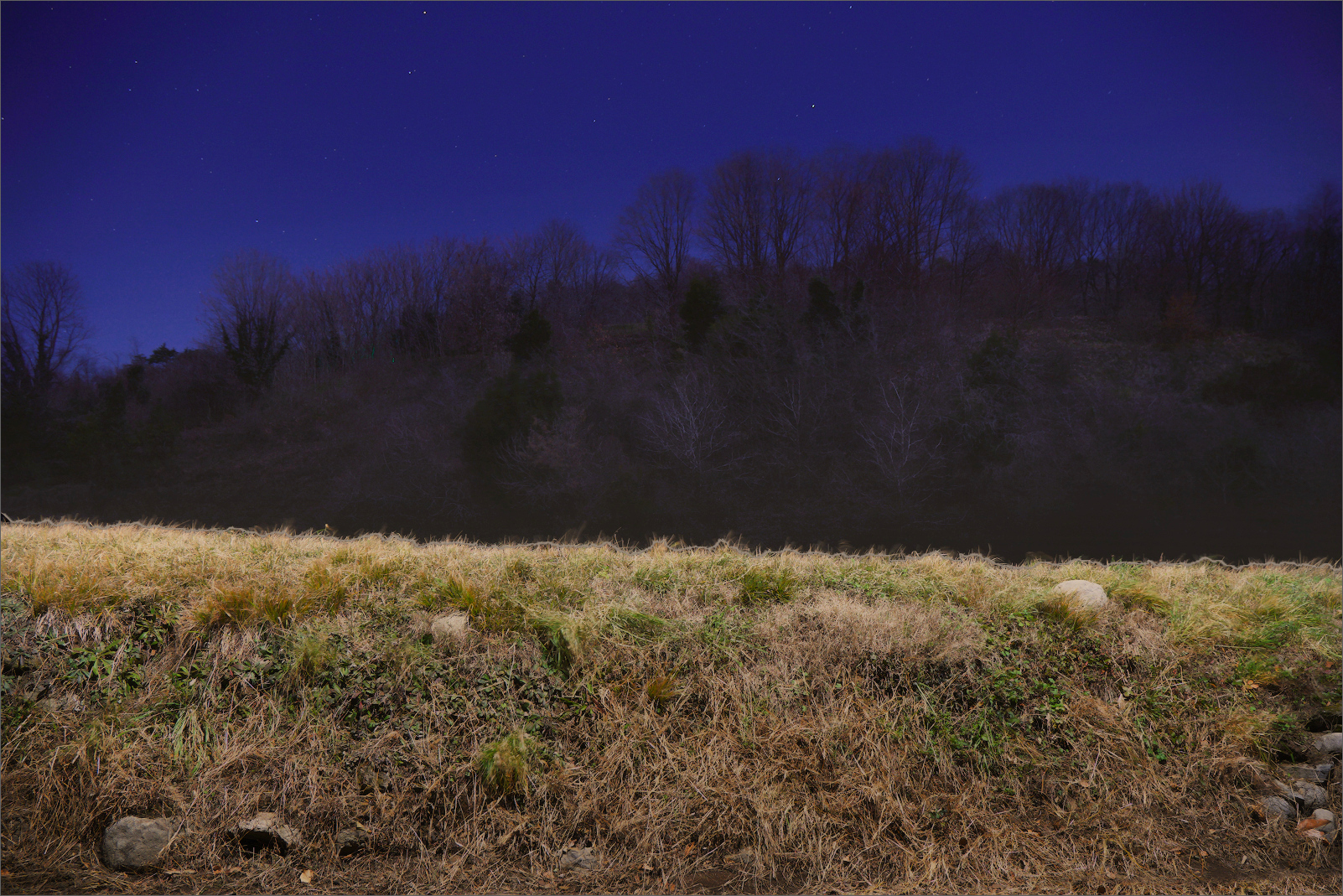 vista sul Parco Spina Verde dal q.re Prestino, Como