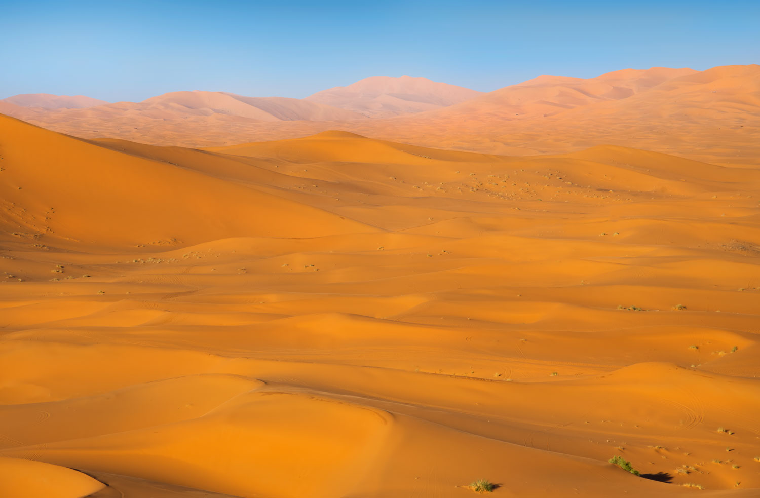 marocco