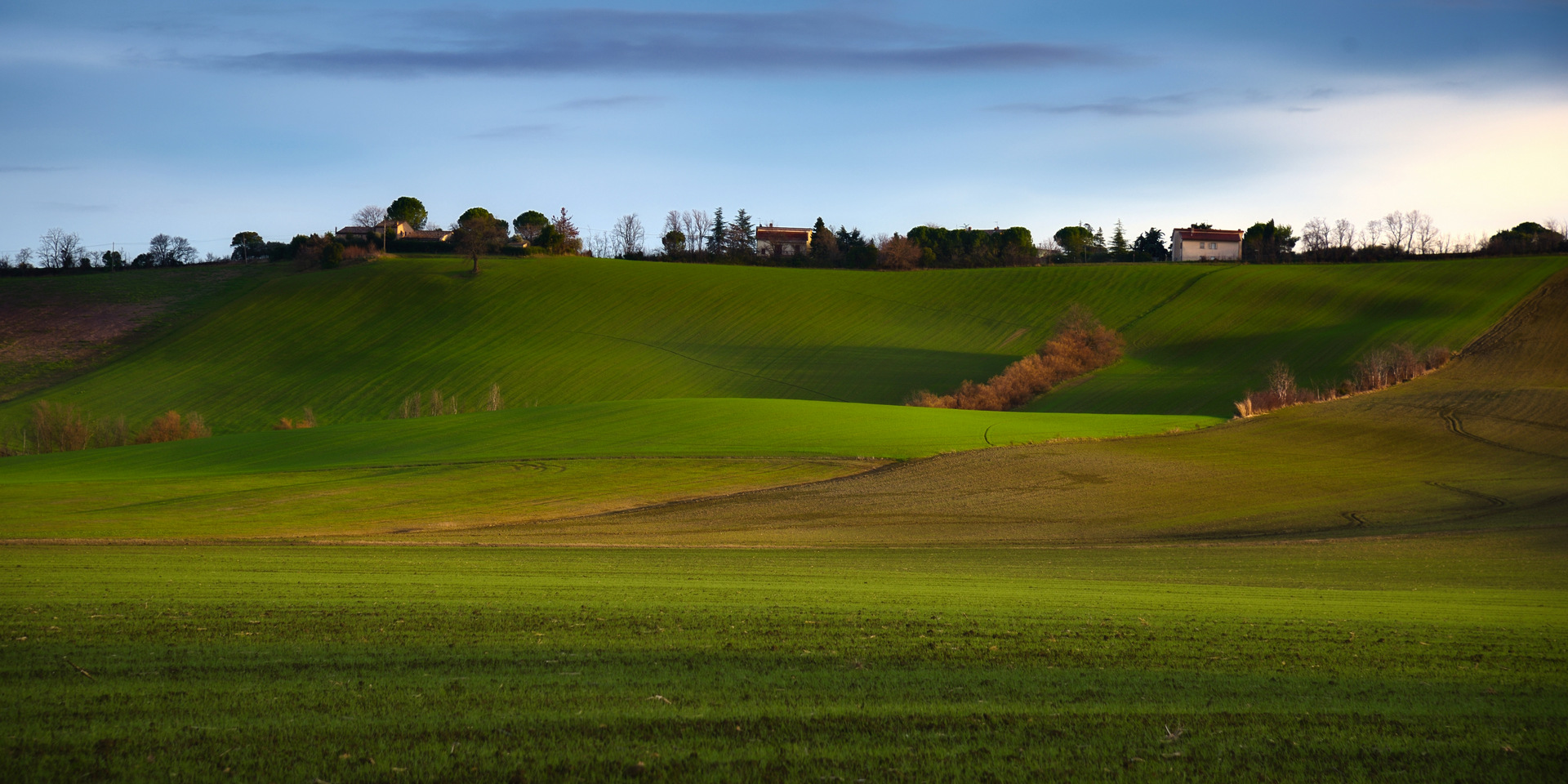 Campagna marchigiana - Pollenza (MC)