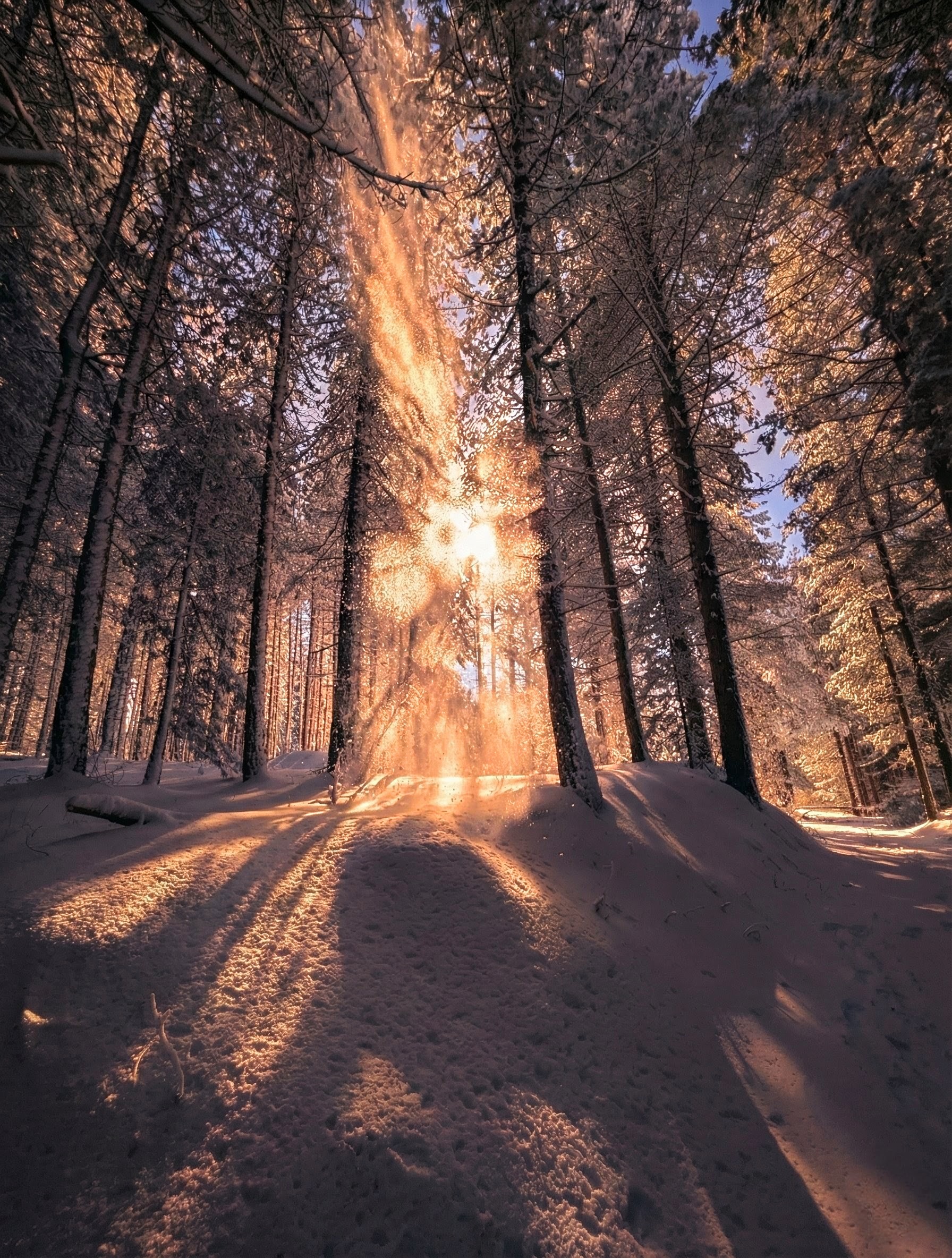 Tramonto sulla neve