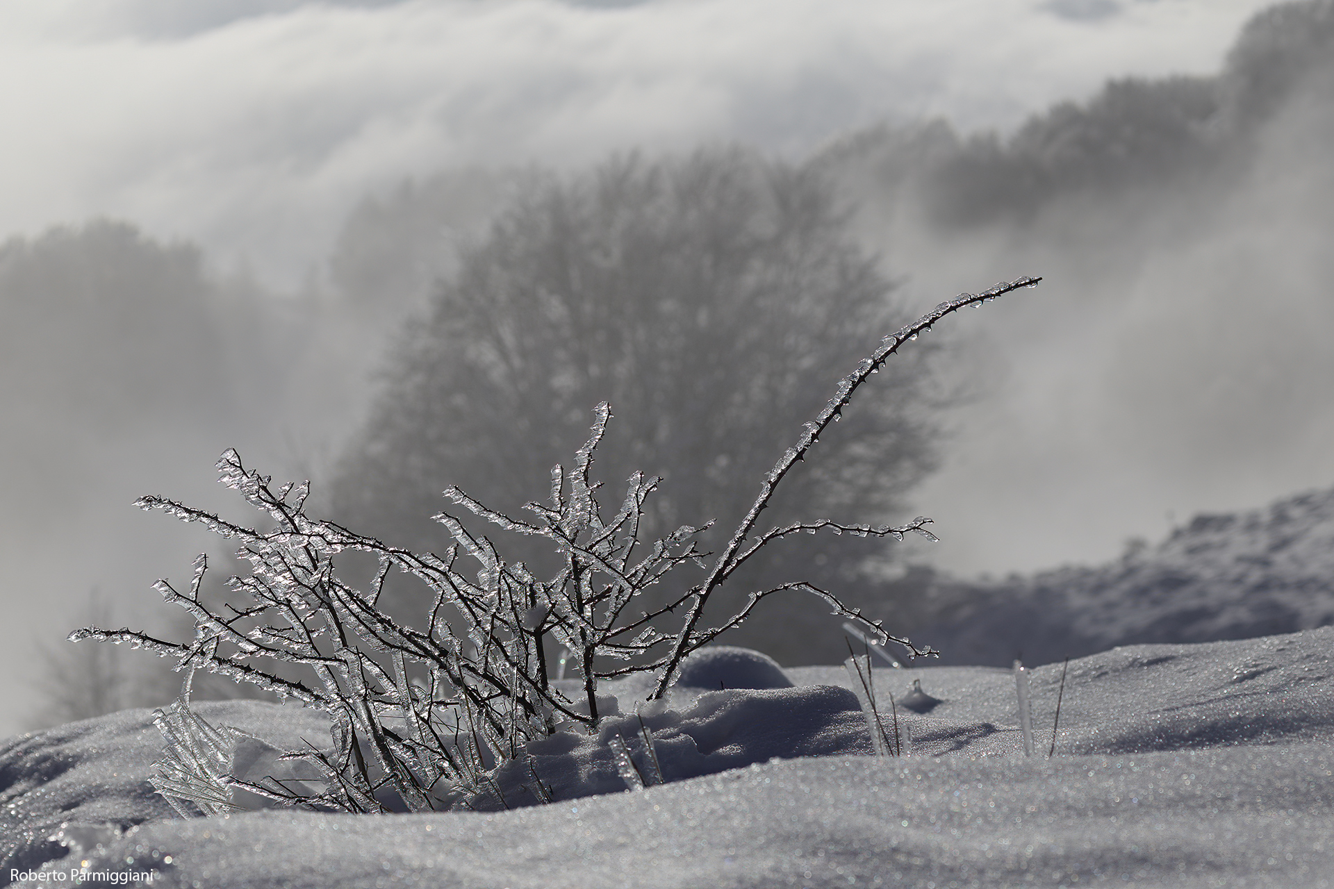 Frozen land