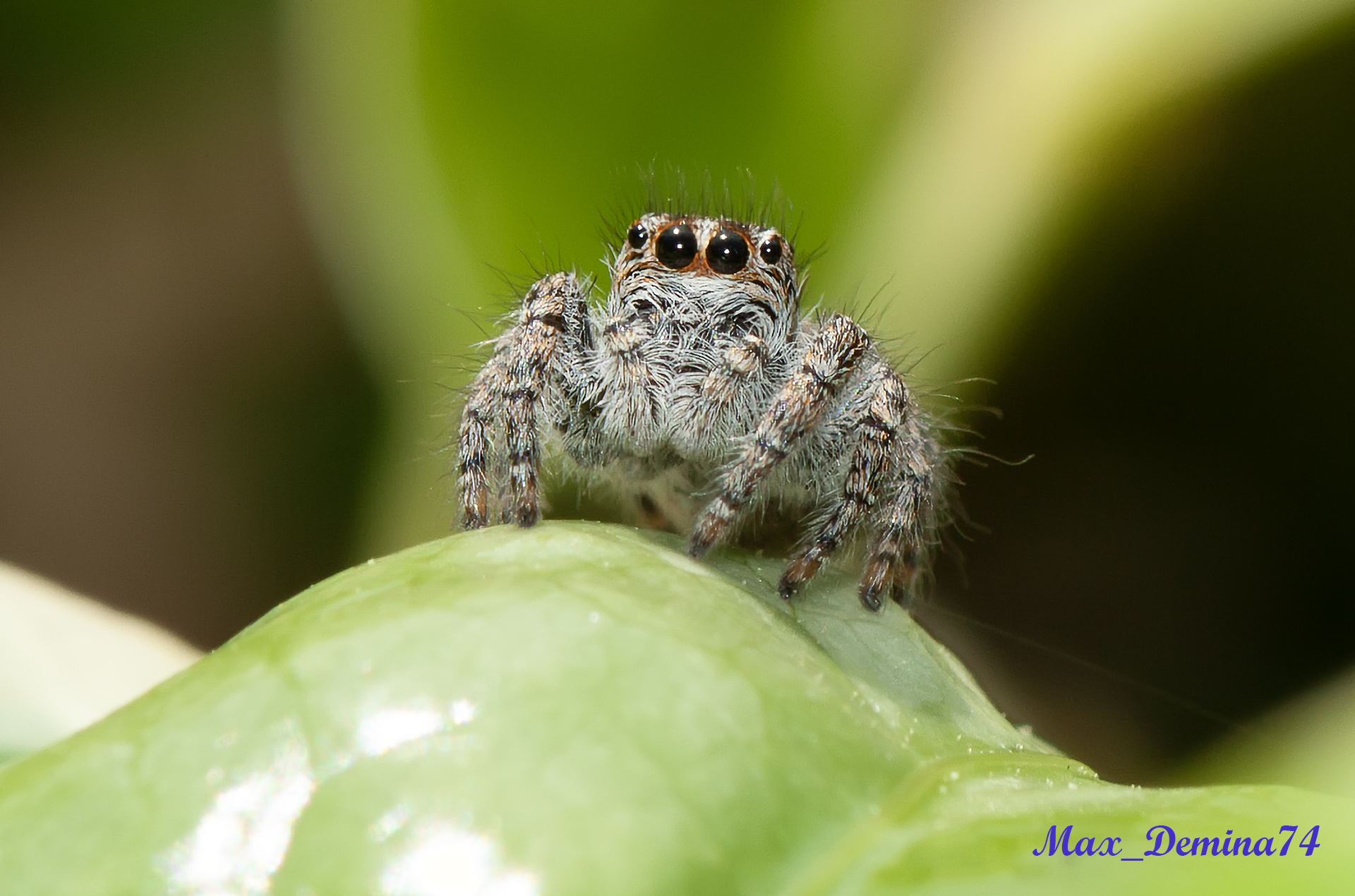 Hello!